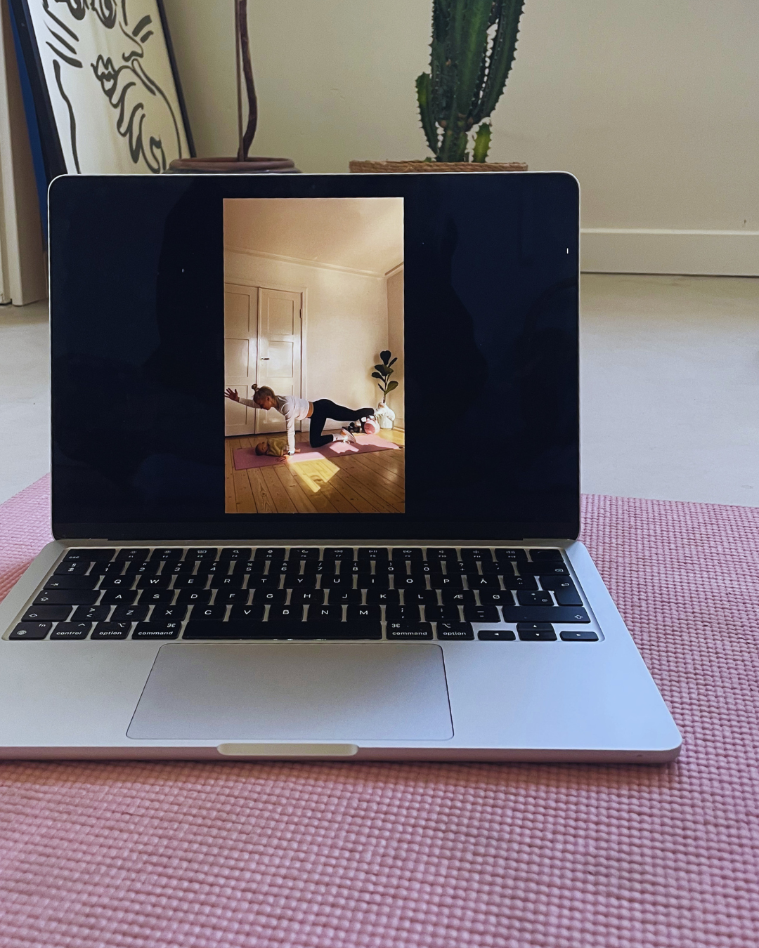 Online Efterfødselsforløb