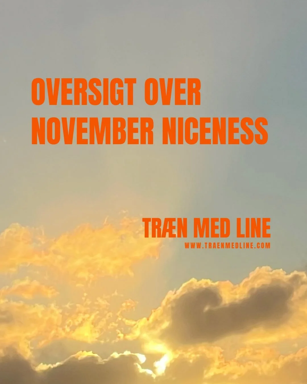 Her kommer en oversigt over november niceness hos Tr&aelig;n med Line, som bliver en stor bland-selv-buffet med alle favoritterne: Online Efterf&oslash;dselsforl&oslash;b og POP-UP Hold i Thy samt K&oslash;benhavn 🤌 Tjek det ud her👇

POP-UP Puls/St