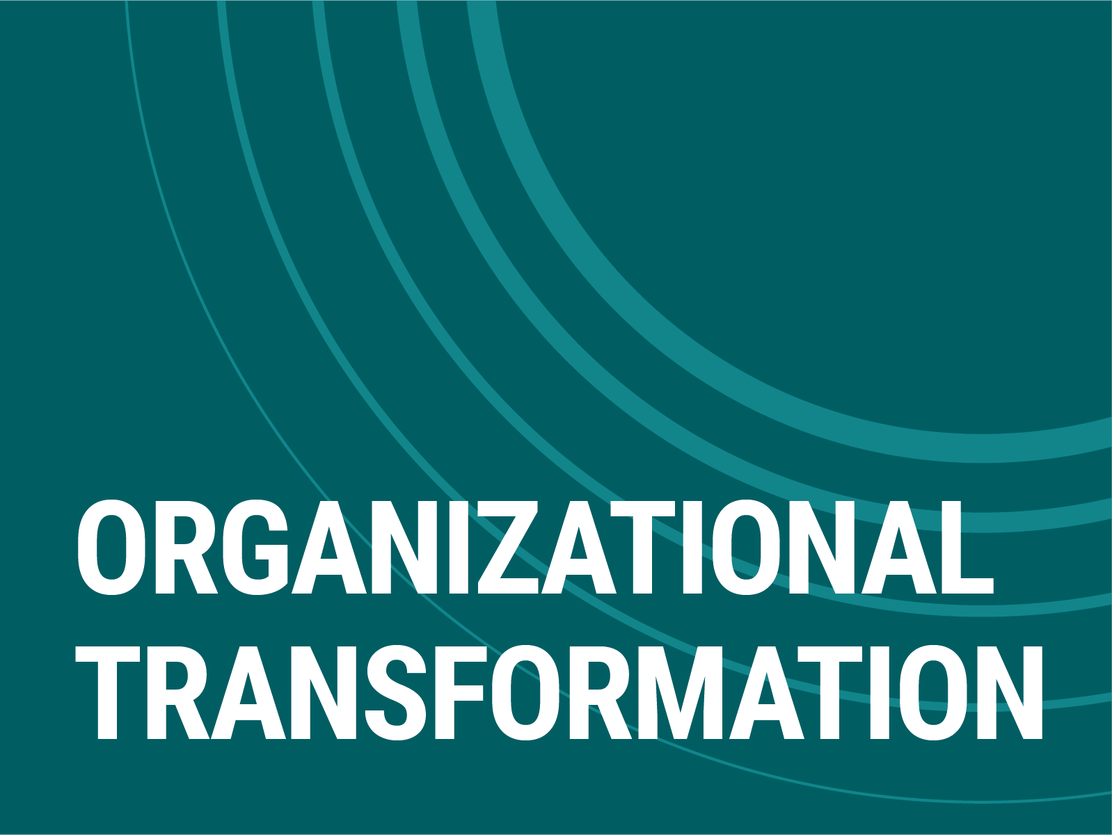  Beyond Group leads transformation journeys toward more adaptable, resilient and agile organizations.  