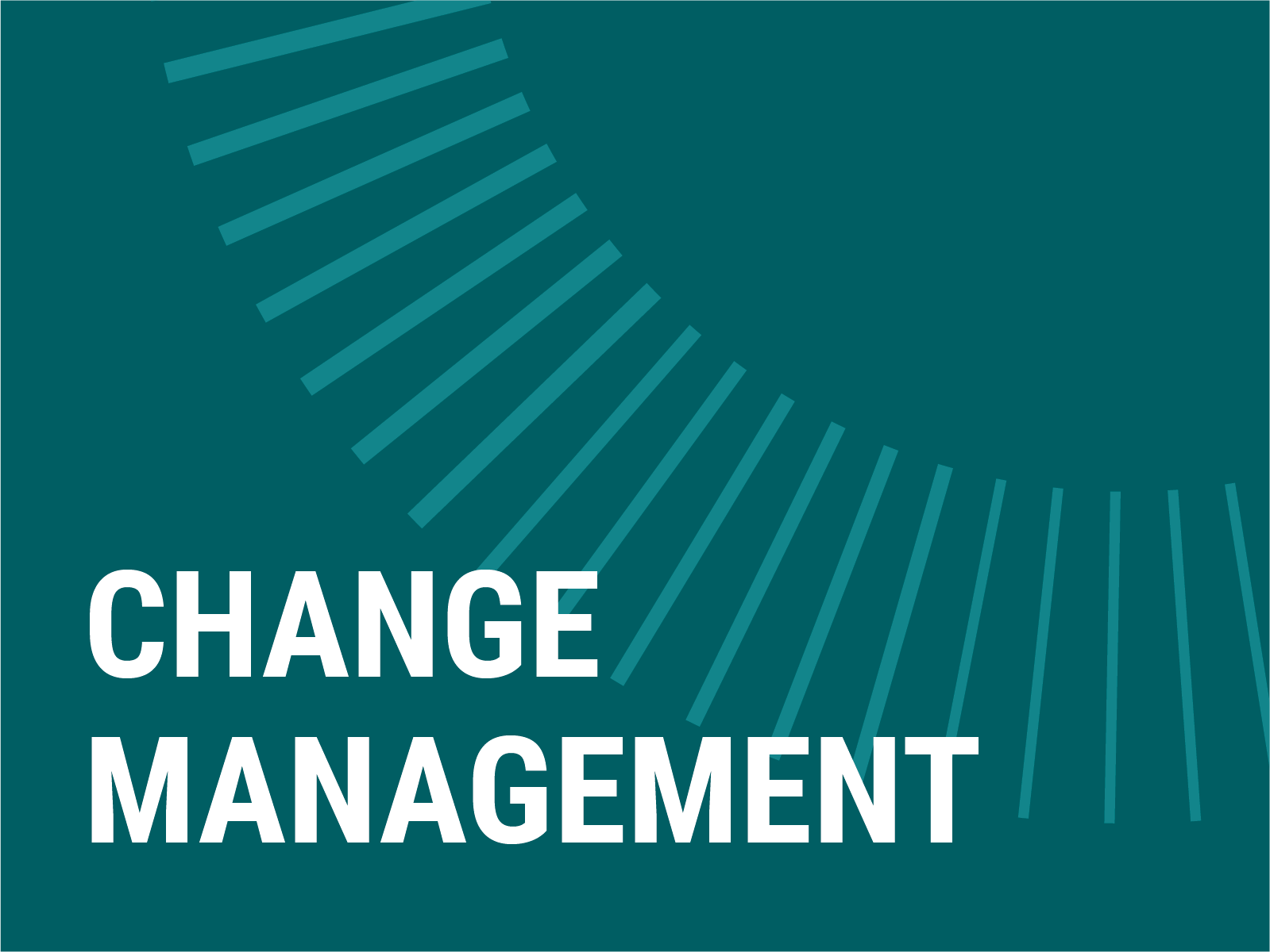  Beyond Group facilitates organizational transformations and empowers people to engage in organizational change at both strategy and practice levels. 