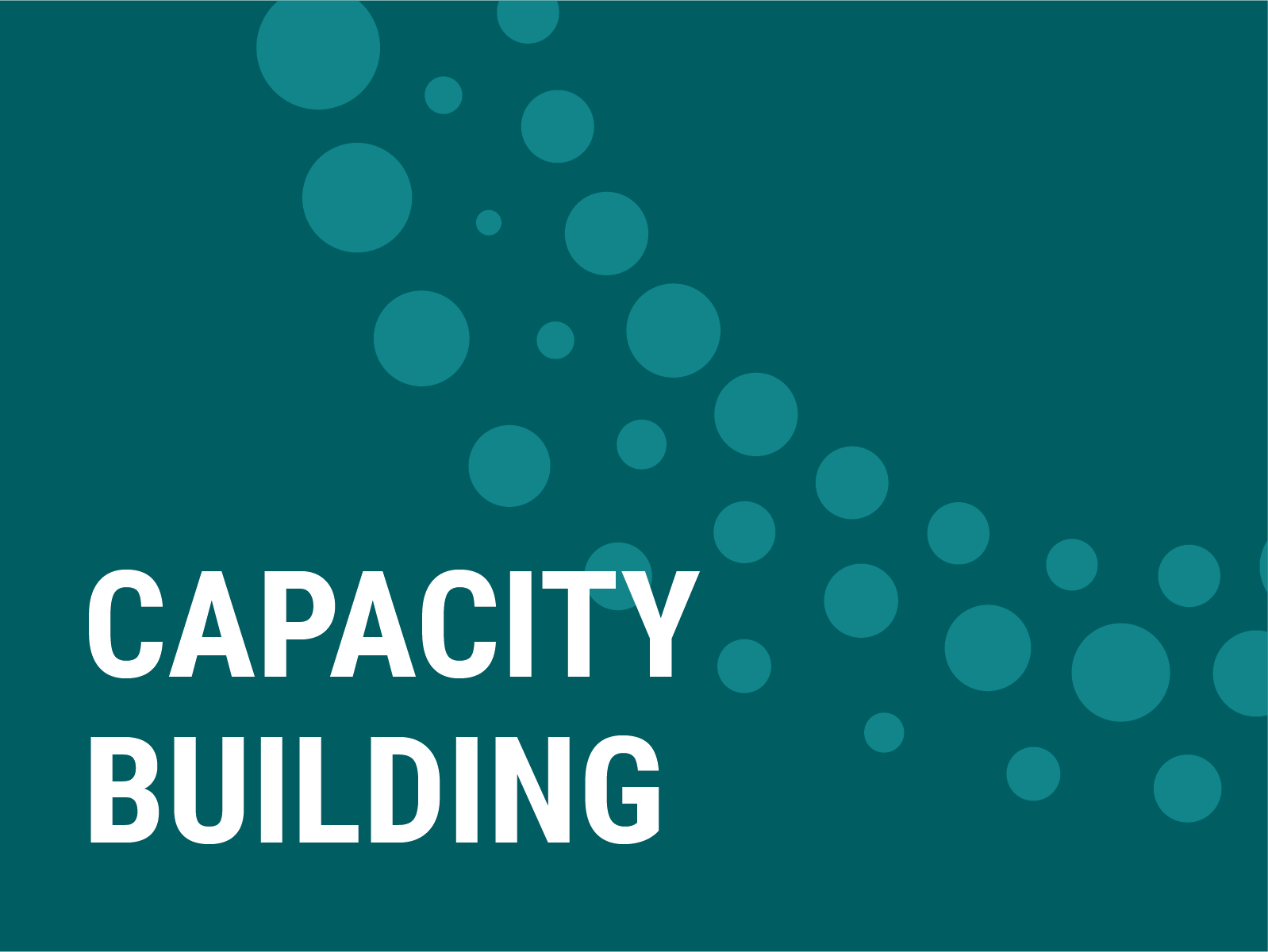  Beyond Group designs and implements tailored experiential learning programs to equip teams with leadership, policy development, and innovation capabilities. 