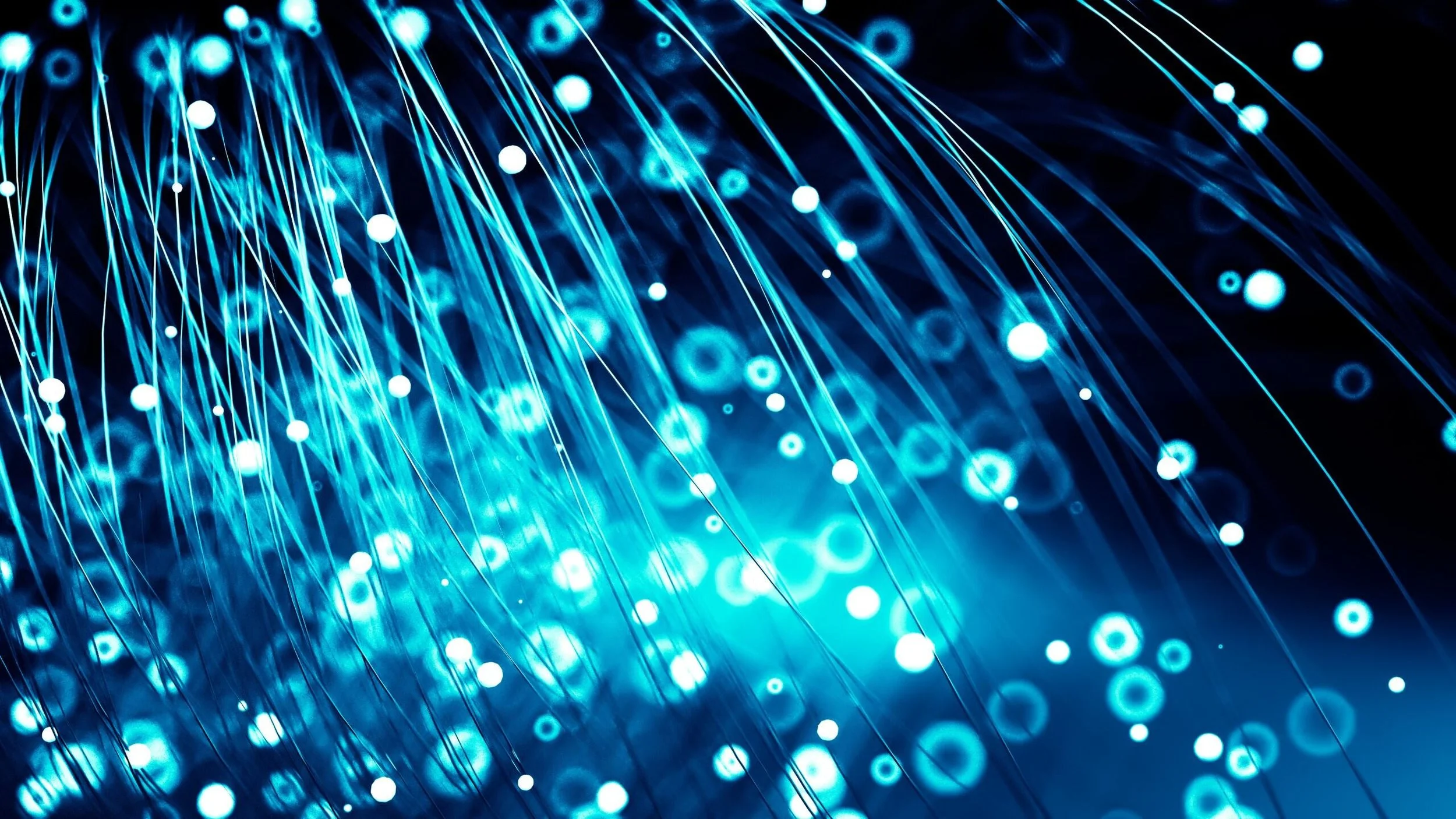 Talent Agility Global