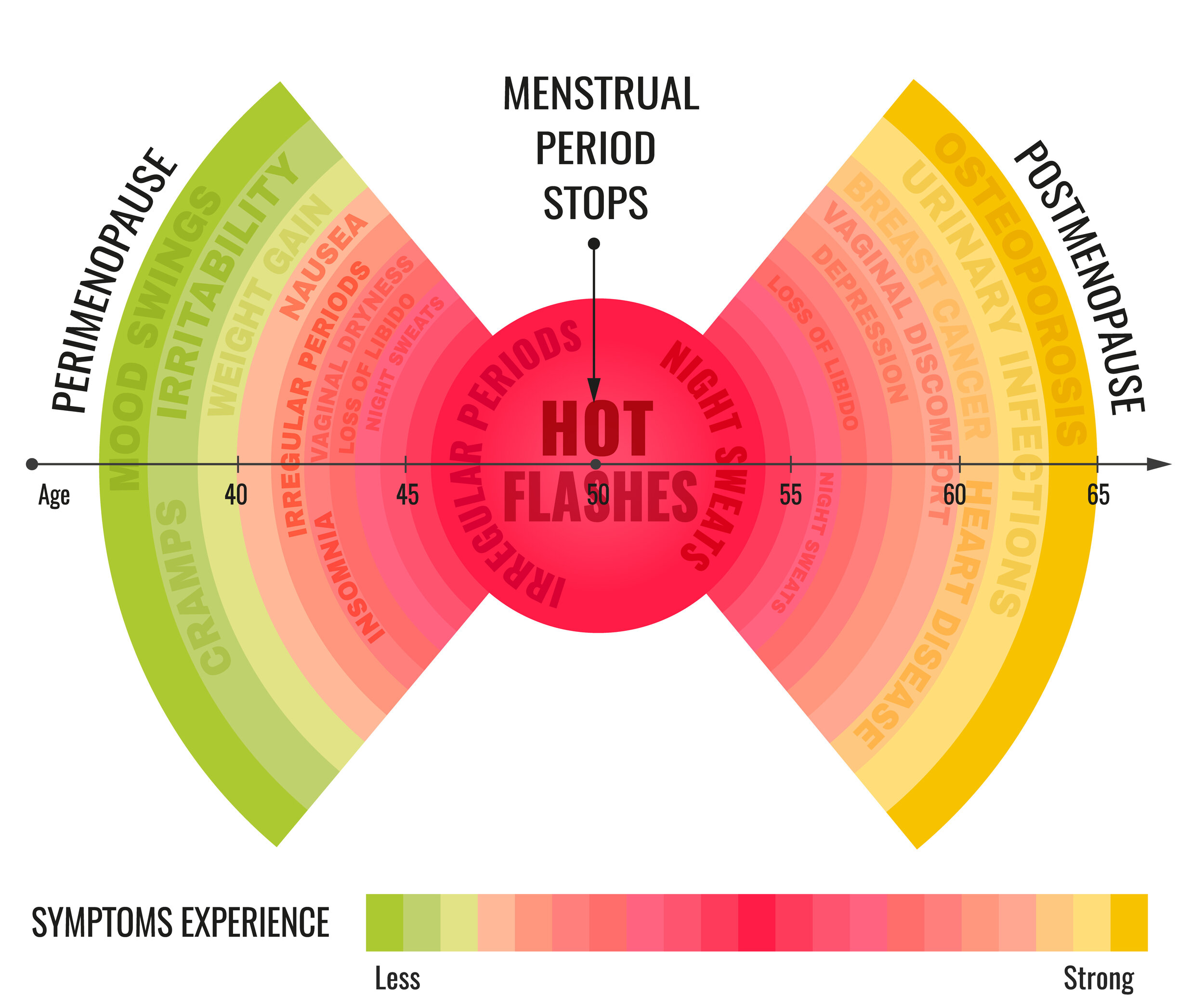 Understanding Menopause, Part 2 — The Holistic Health Approach