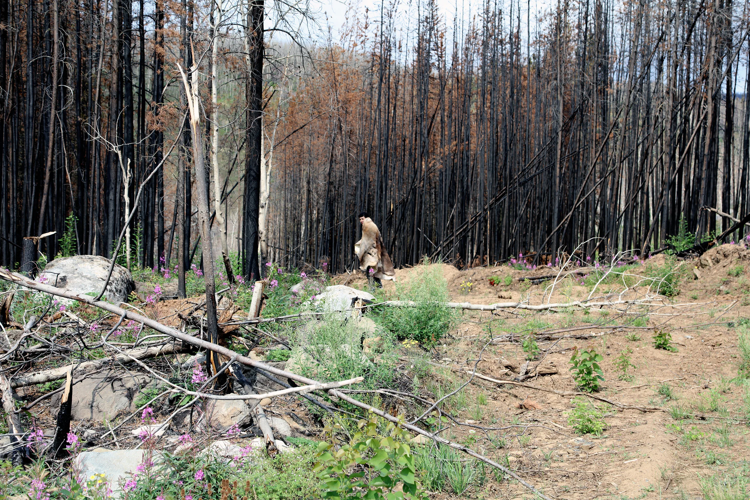 Tāłtān for Reclamation 2 far view