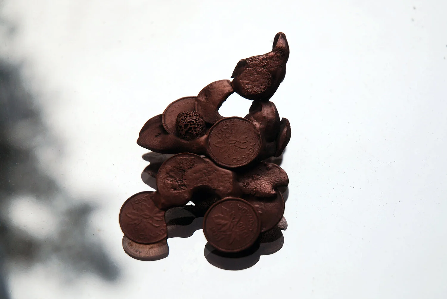 whatisleft1_web copy 2.jpg