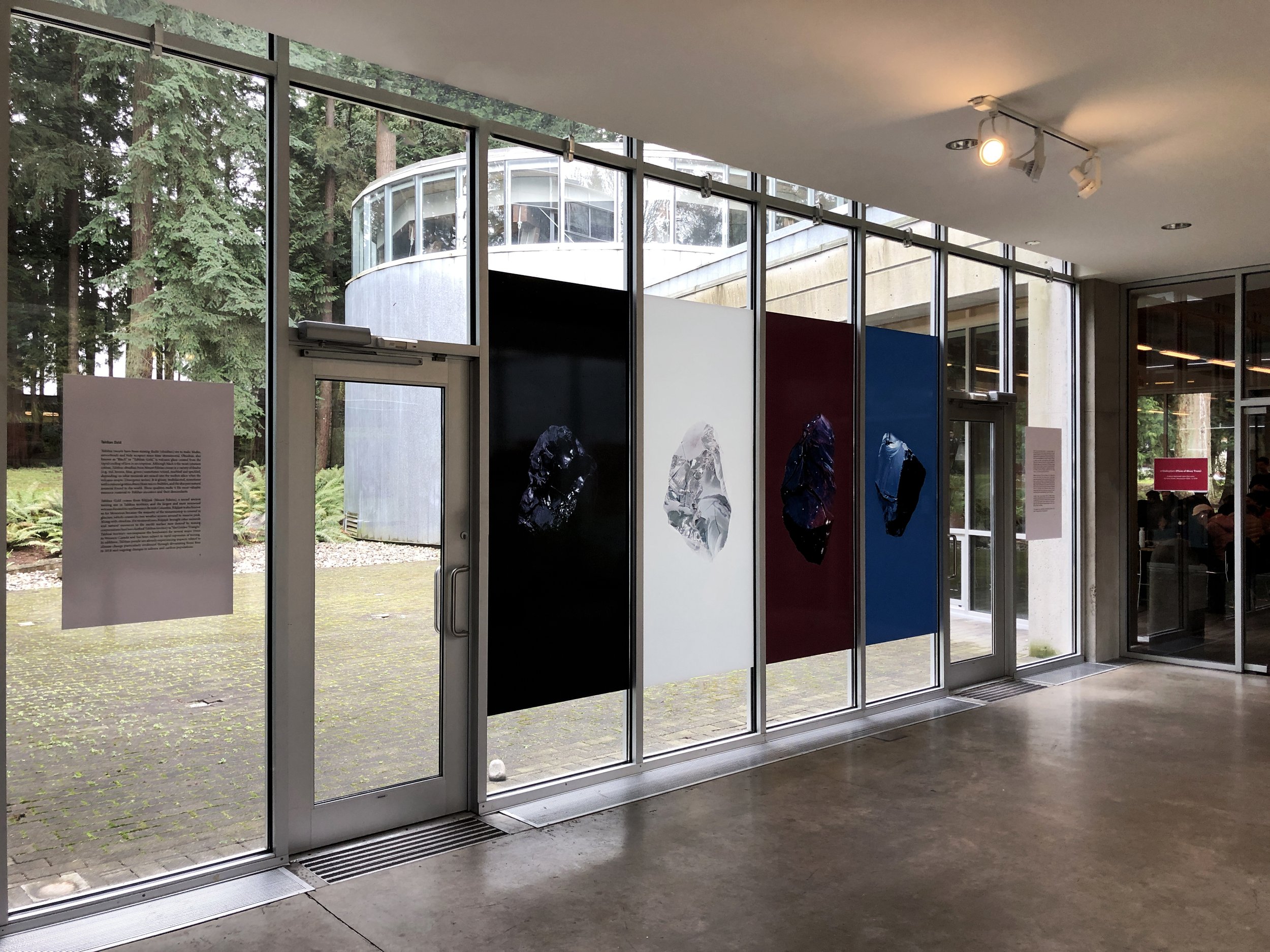 26tigharas20162020Emergence1256 copy.JPG