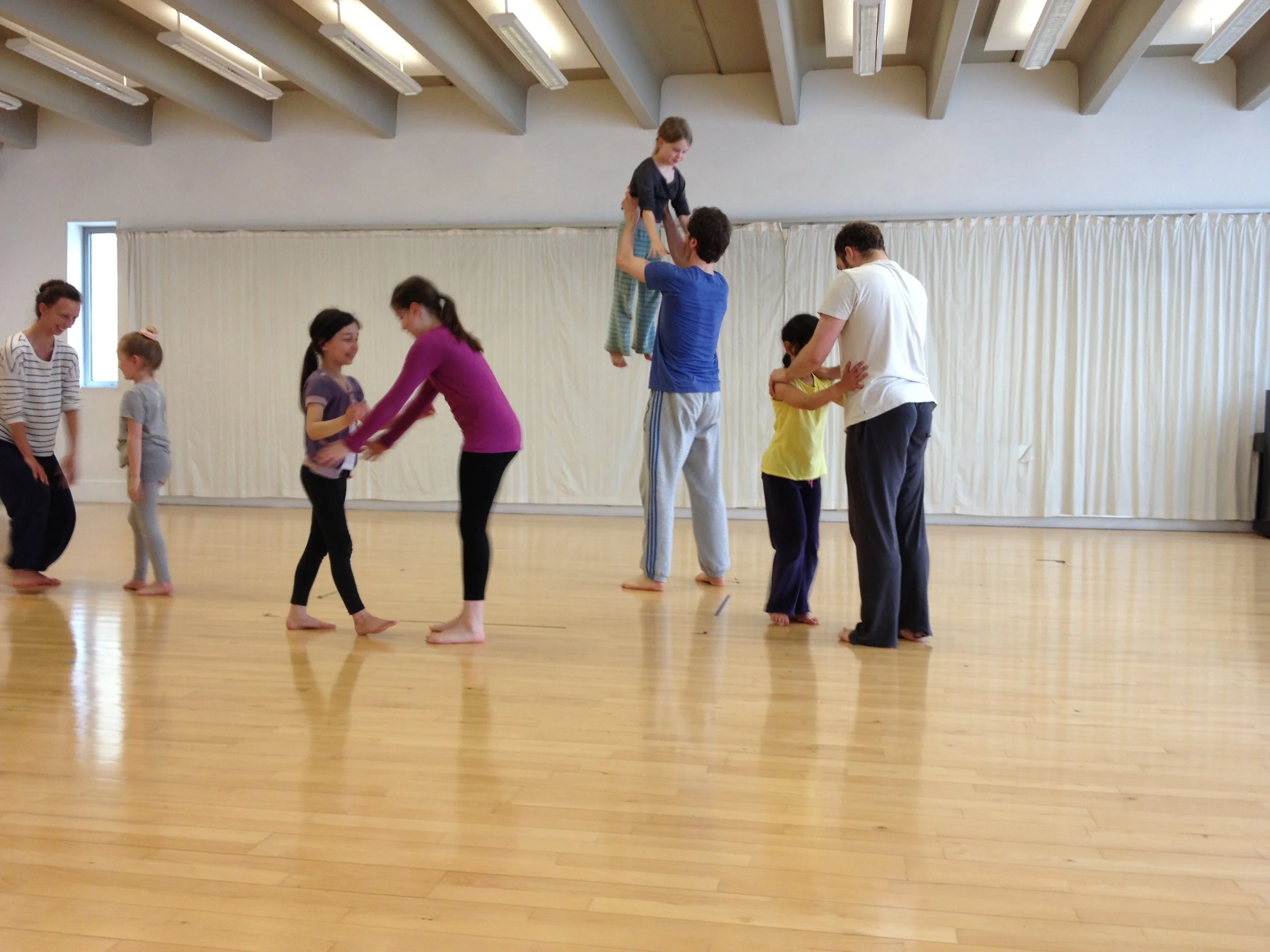Understanding Arts Participation: Towards a Historical and Theoretical Perspective