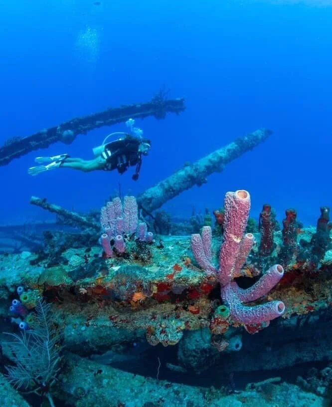 Specialty Courses — Cane Bay Dive Shop St Croix