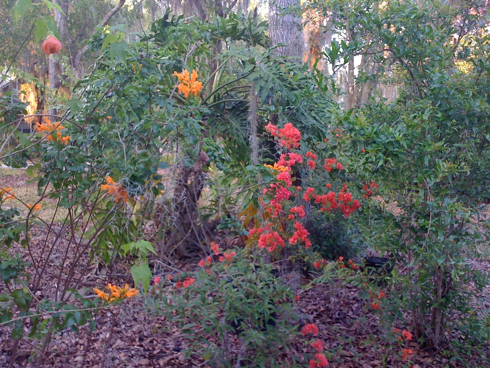 Rangy and wild — but planned. Photo by Jenny Zoe Casey