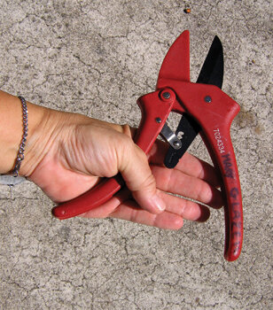 Plastic pruners can be easier on your hands.  Photo by Mary Adam