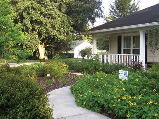 A “Florida Friendly Yard” sign is displayed among native beach sunflowers.  Photo by Mary Adams
