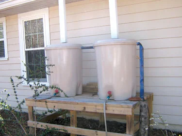 Rain barrels supplement a micro-irrigation system.  Photo by Mary Adams