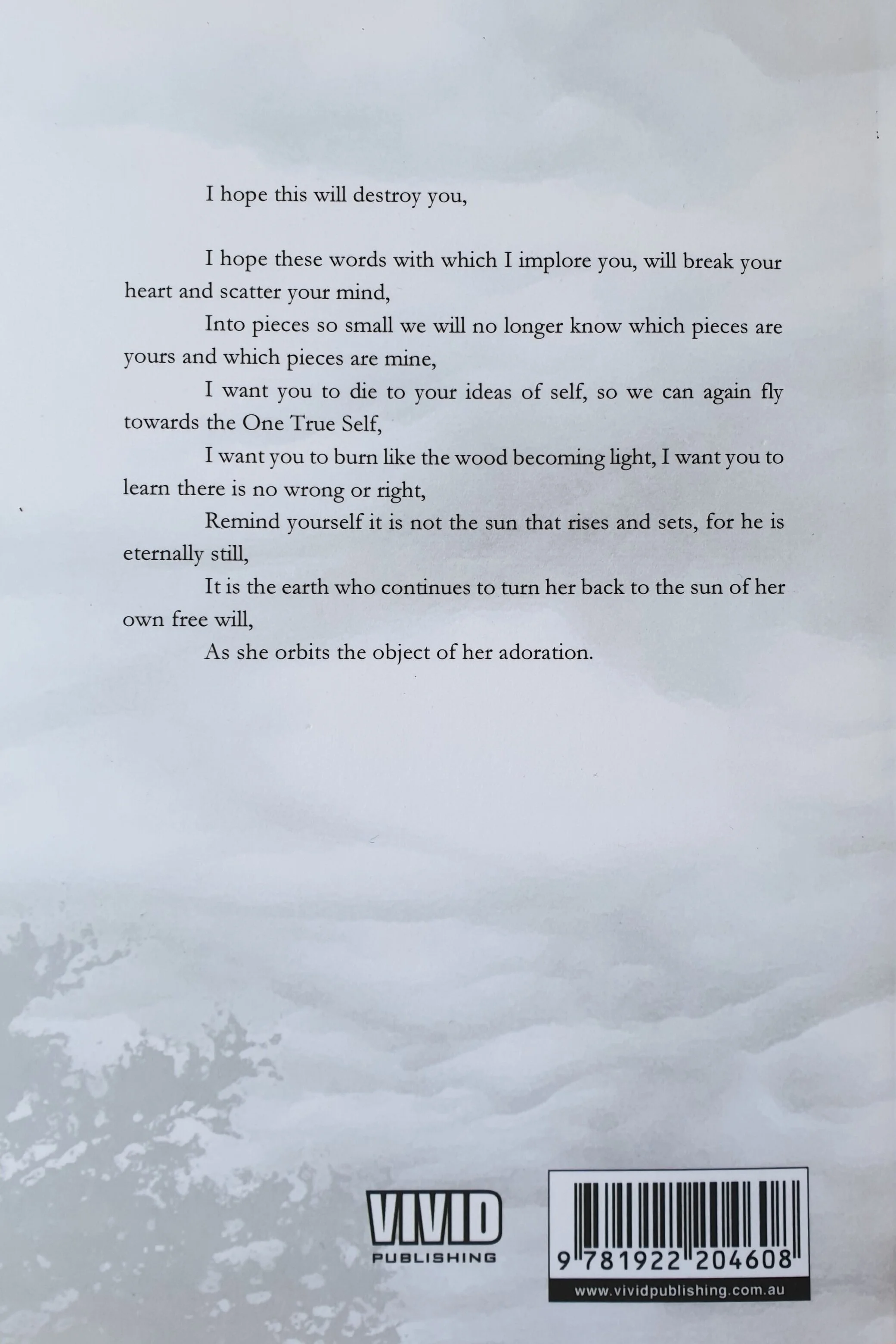 The blurb of Erfan Daliri's first poetry book: Esteban's Conclusions