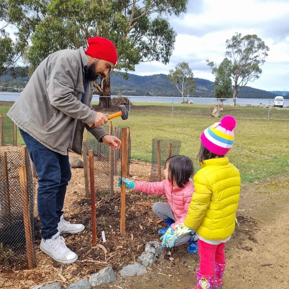 When the writing, teaching, reading and thinking about social change gets too much, I plant trees. There really isn't much &quot;spare time&quot; in our life, and there isn't much allowance for it in today's world. I don't exactly want any to be hone