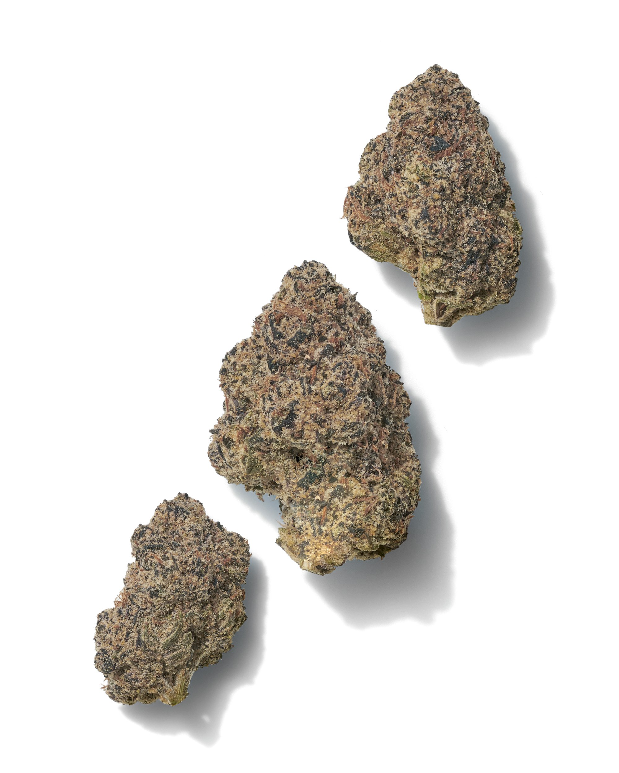 Black Tie - Archive Runtz flower, trio of buds, on white background.jpg