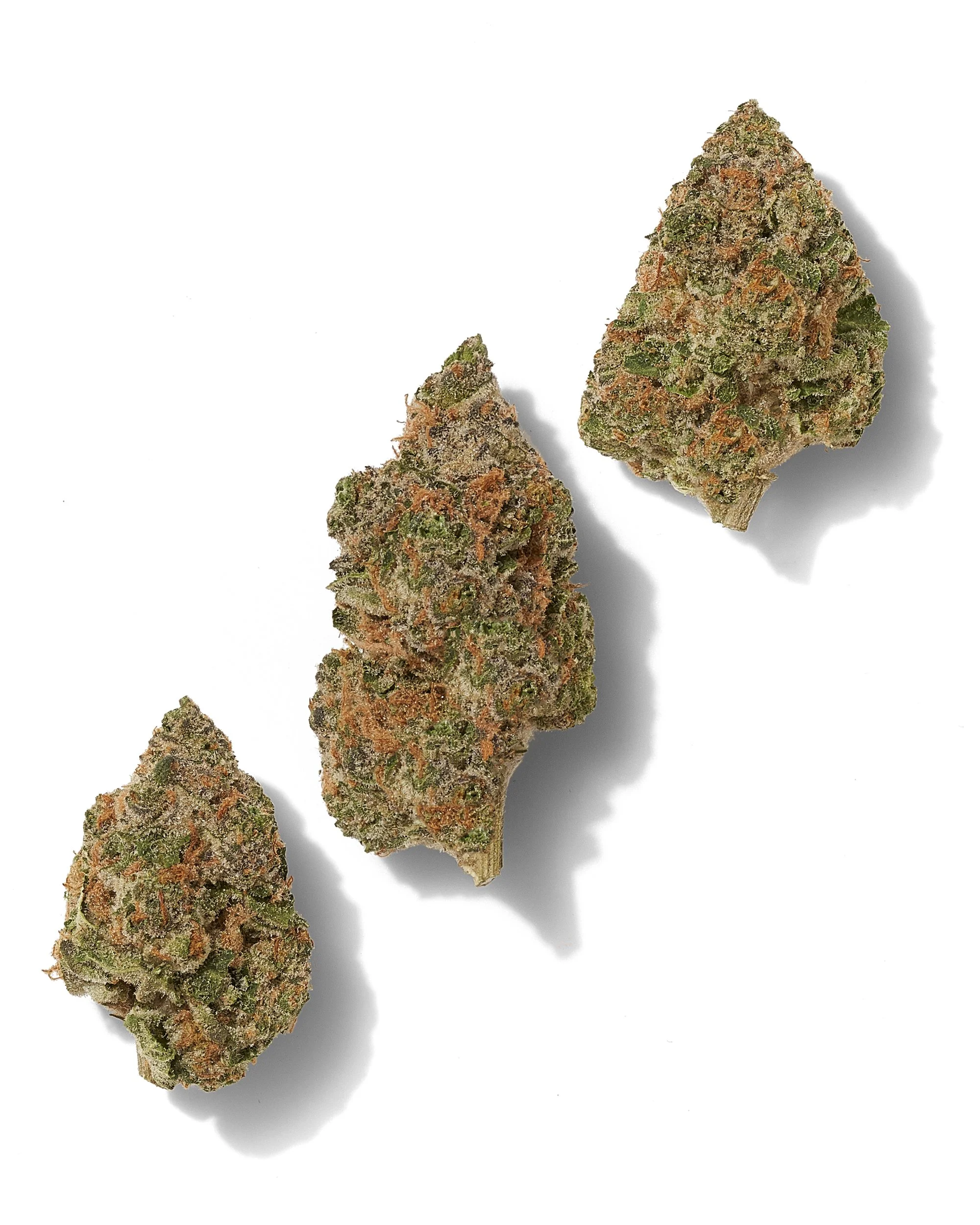 Black Tie - Strawberry Cough – Three-bud composition on white.jpg