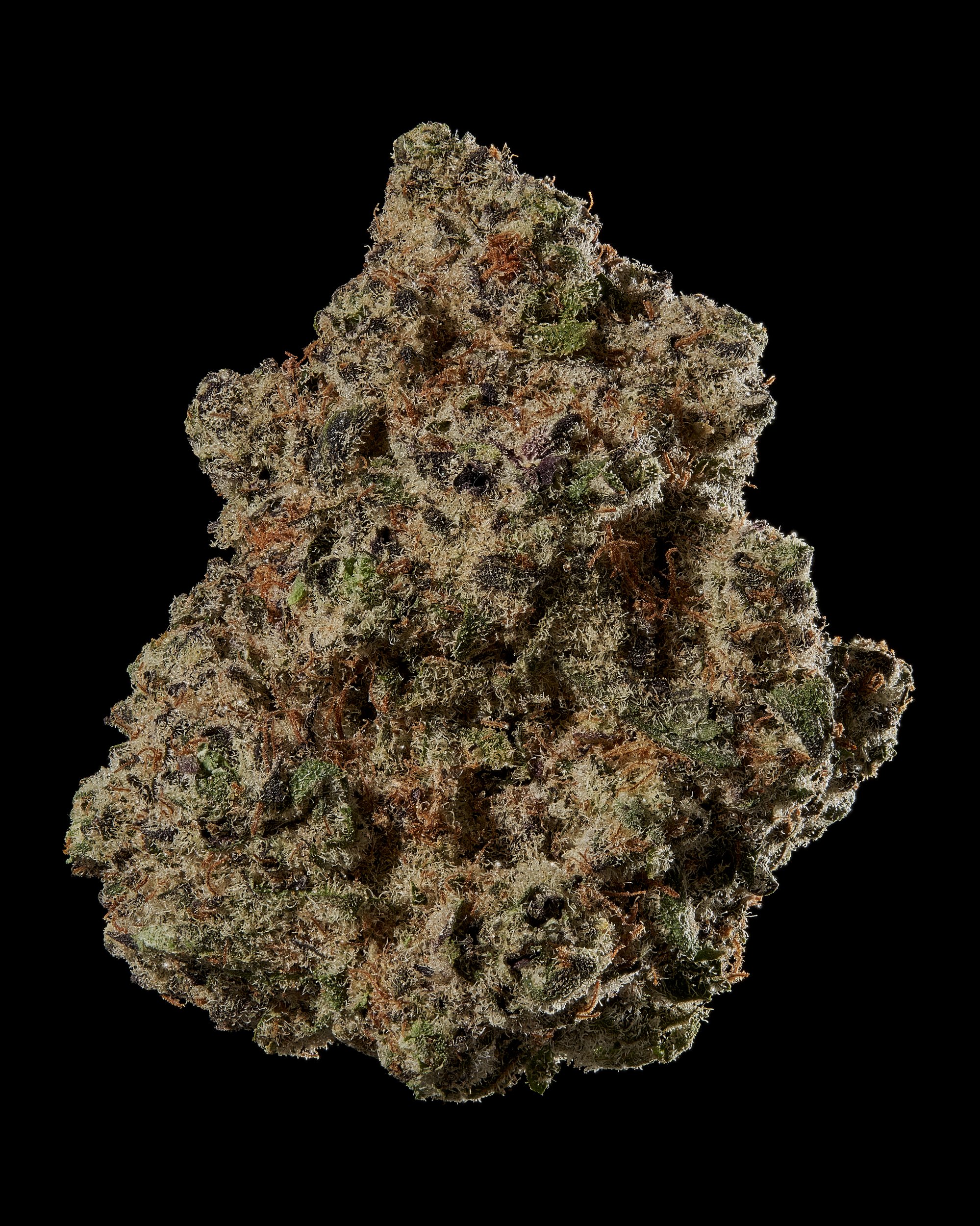 Black Tie – Grandaddy Purple, Hero bud on black.jpg