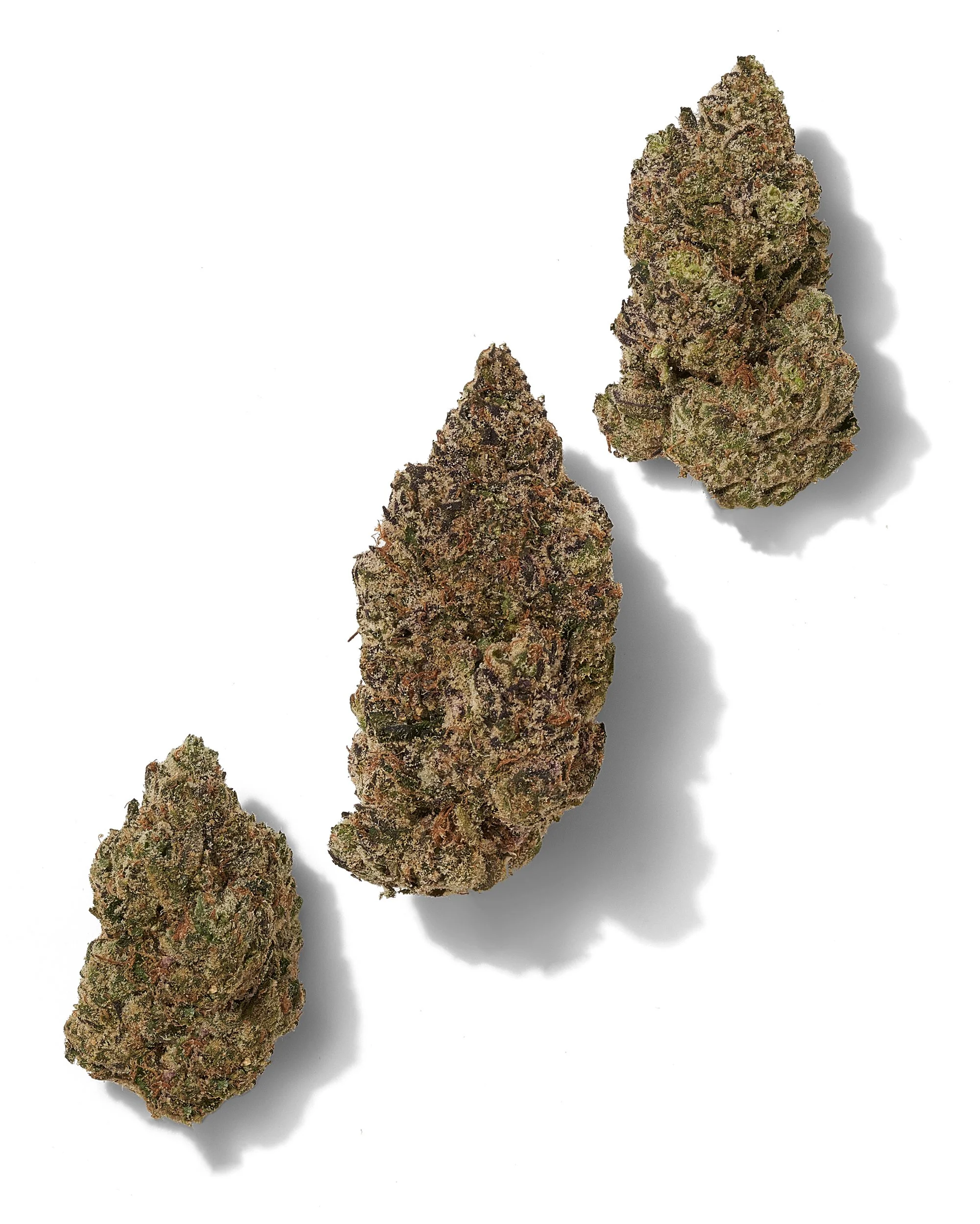 Black Tie - Warheadz – Three-bud composition on white.jpg