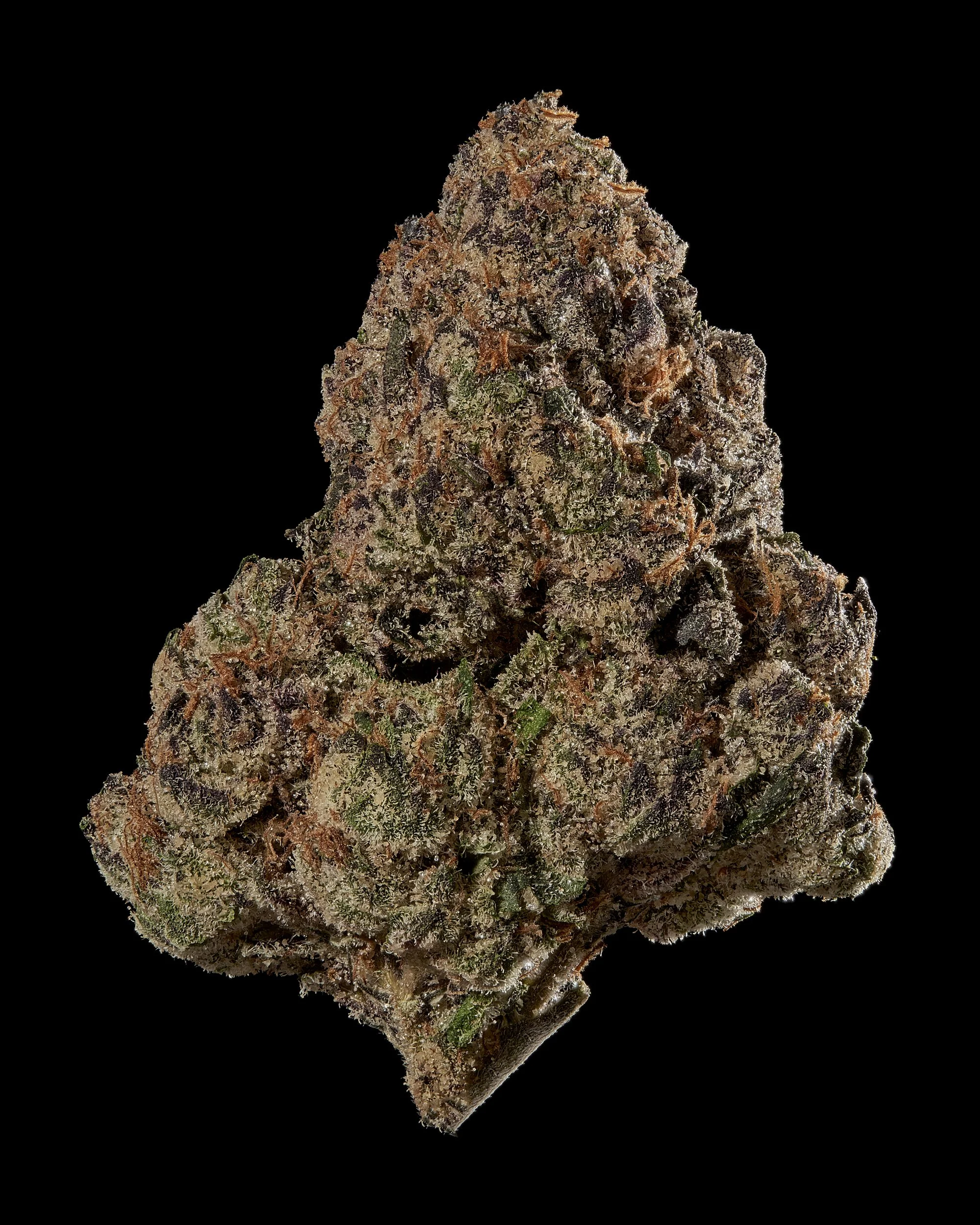 Black Tie – Pixie Sticks, Hero bud on black.jpg