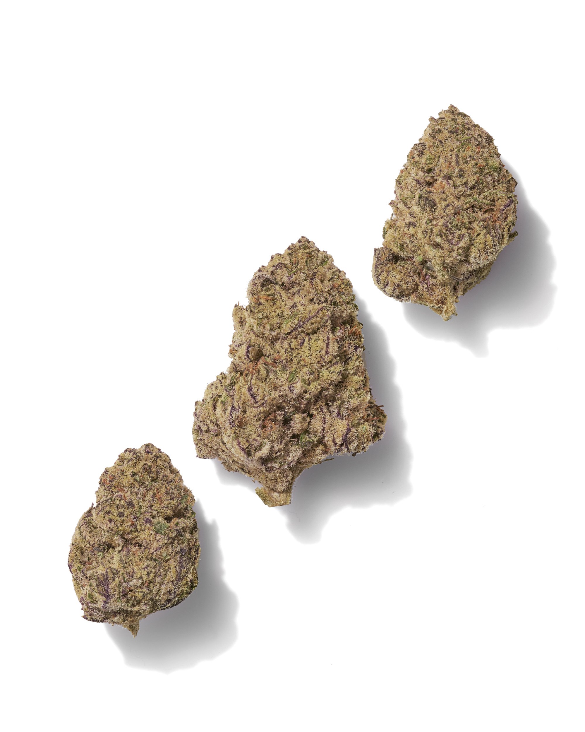 Black Tie - Monkey Bizz, trio of buds, on white background.jpg