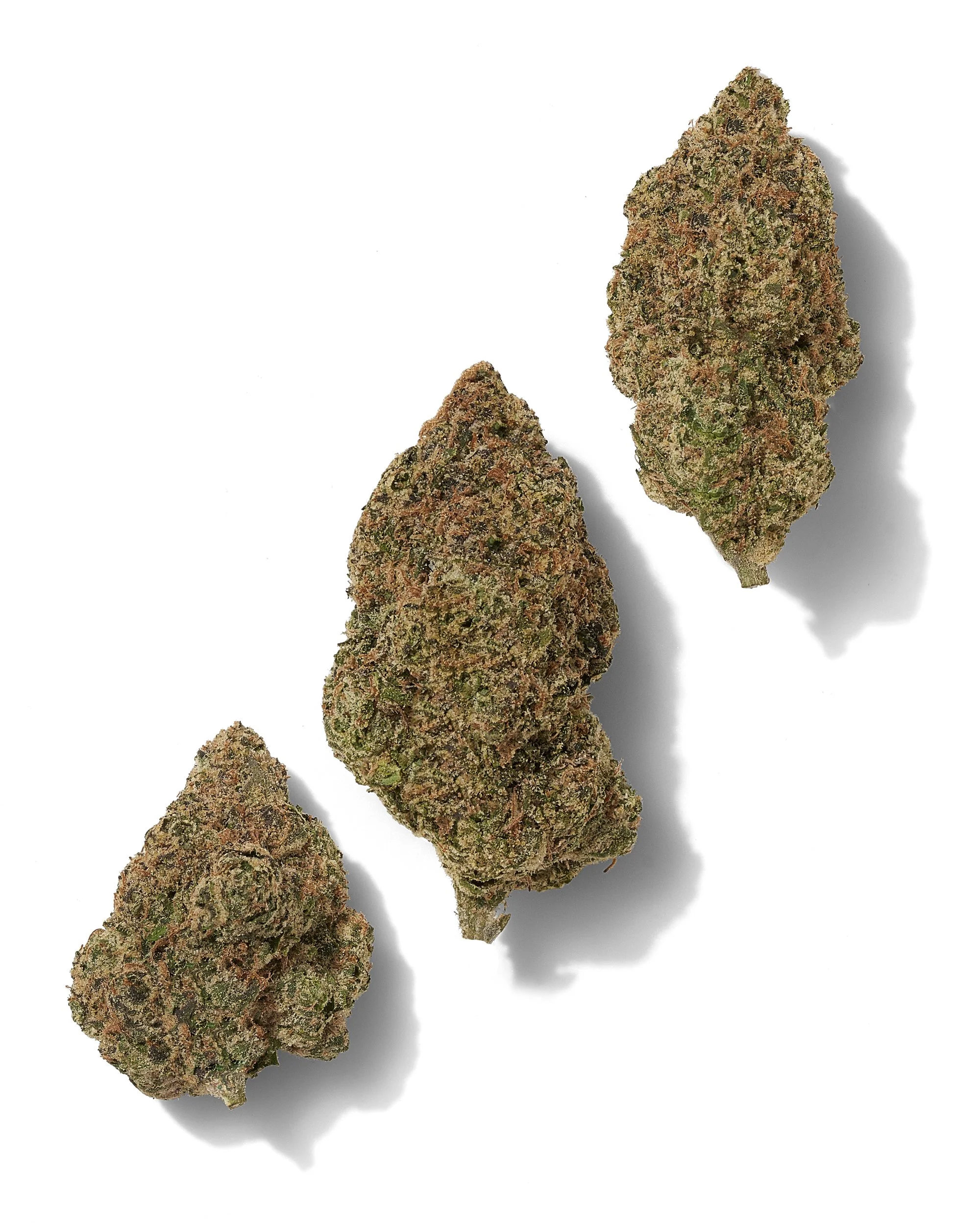Black Tie - Pink Gummies – Three-bud composition on white.jpg