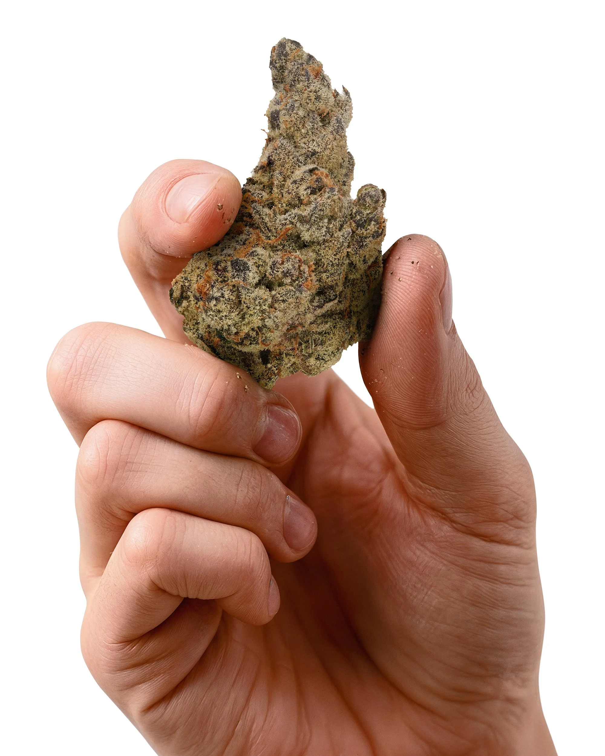 Arete - flower with hand holding flower, see swipe 6_.jpg