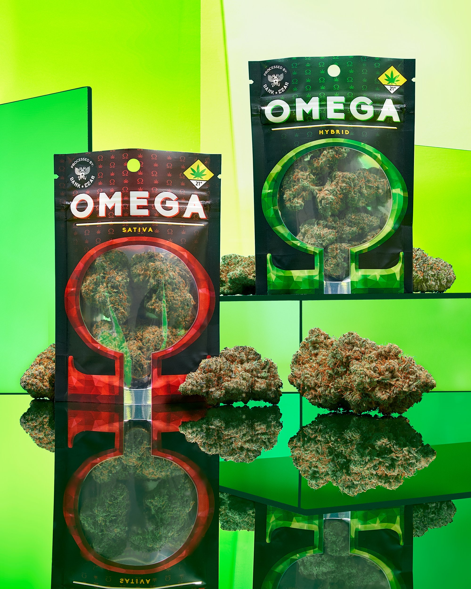 RXD Co - Omega bags group shot_.jpg