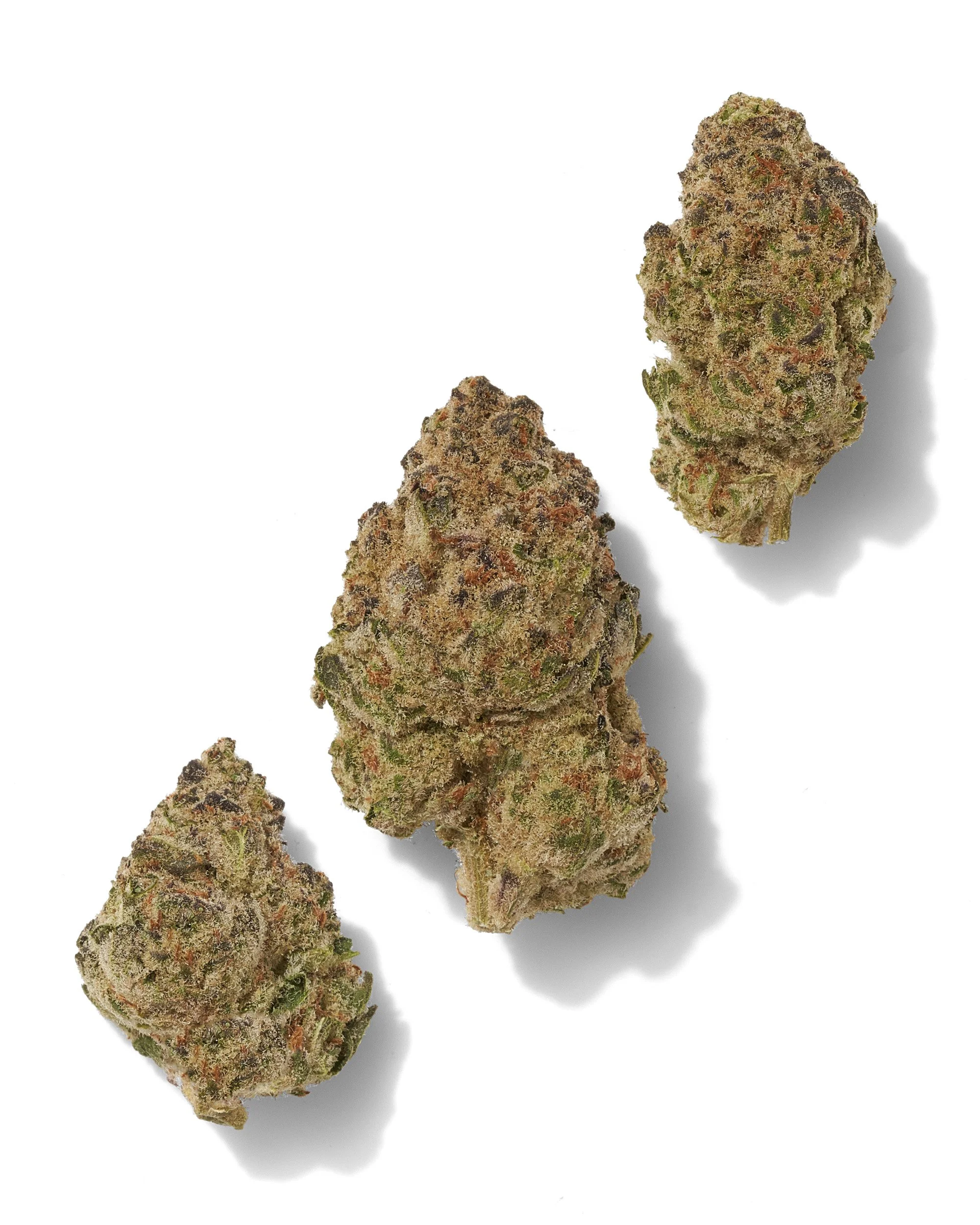 Black Tie - Bubblegum OG, three buds on white background.jpg