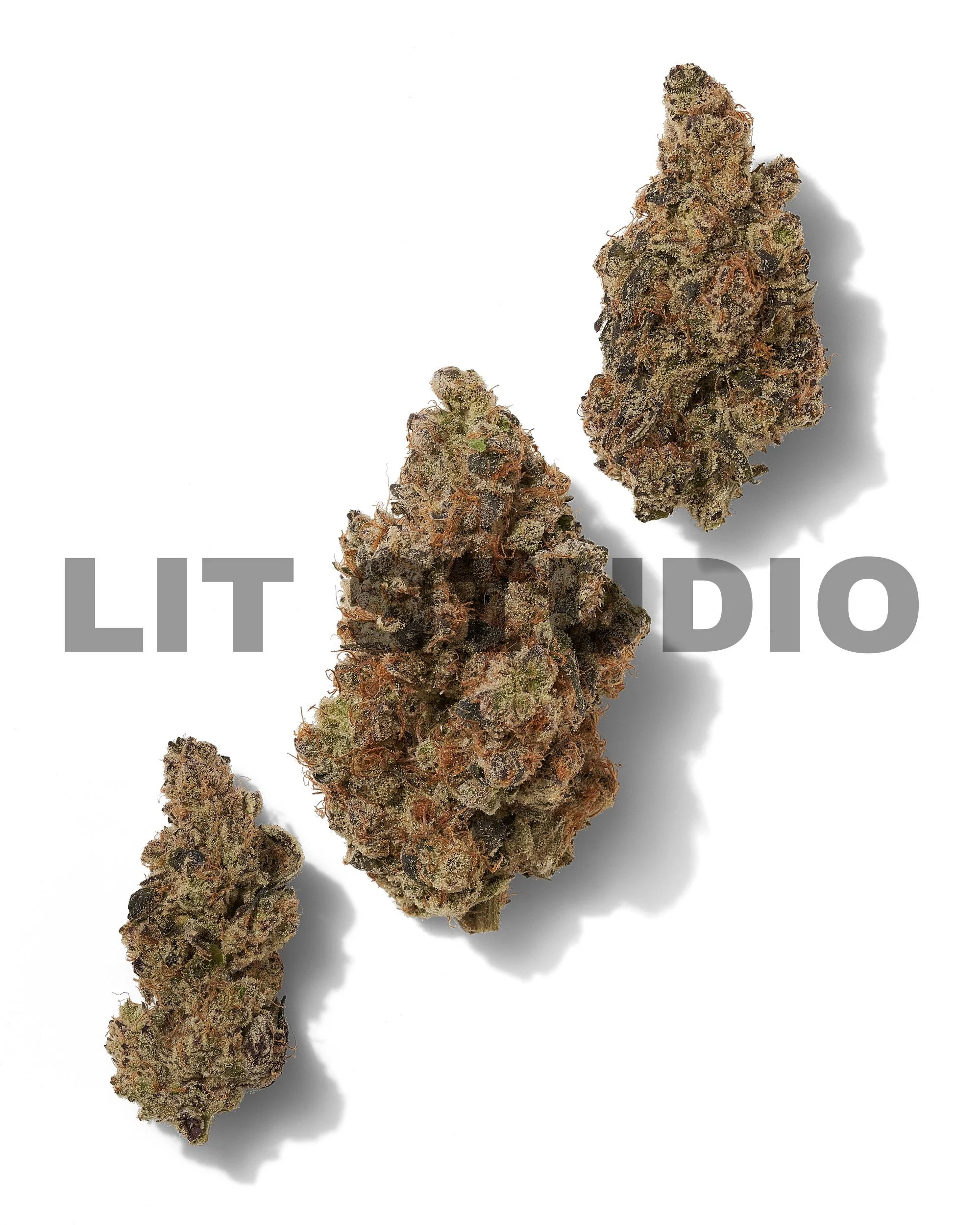 Black Tie - Blueberry Pancakes – Three-bud composition on white.jpg