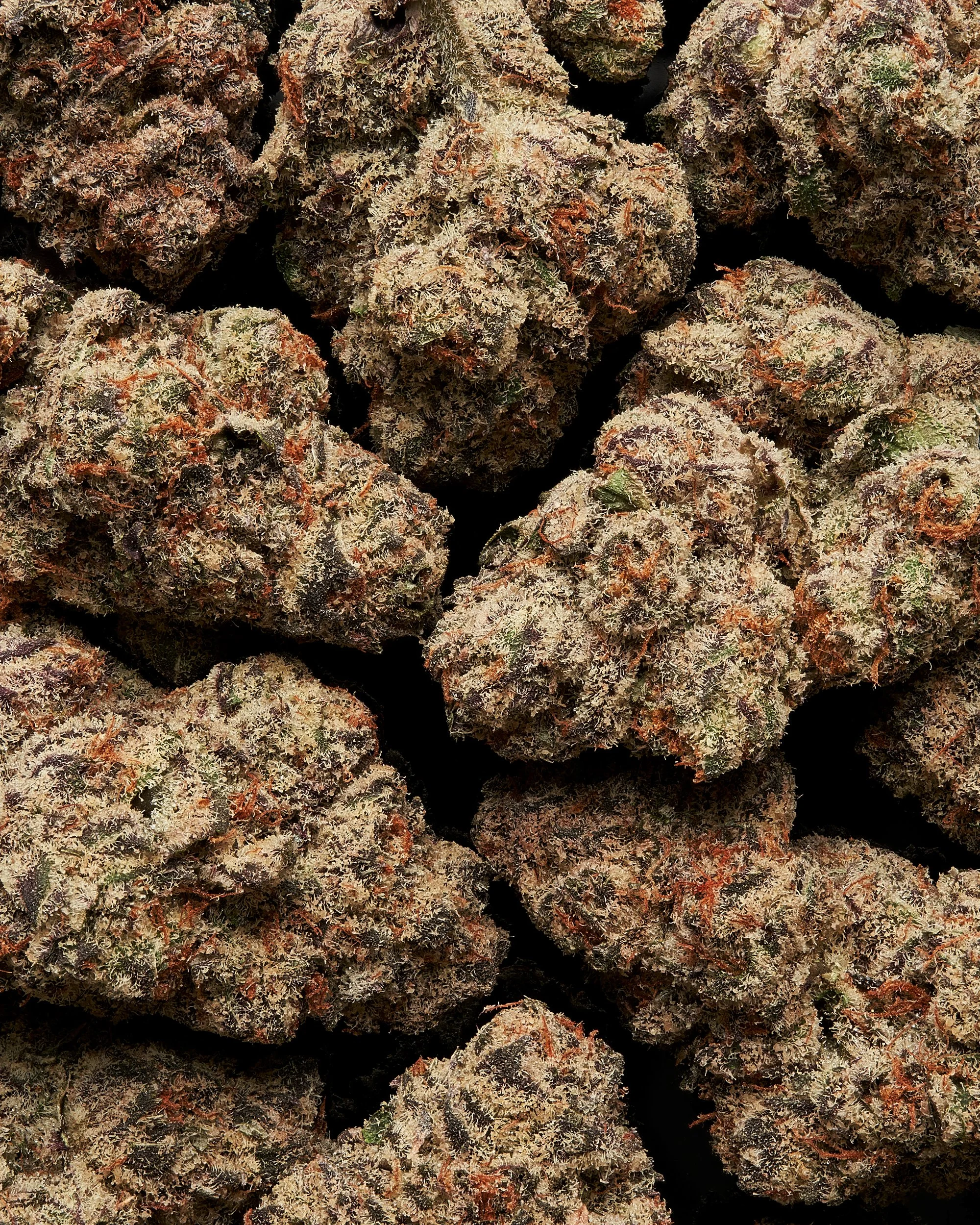 Gold CBD - WTF flower group shot_.jpg