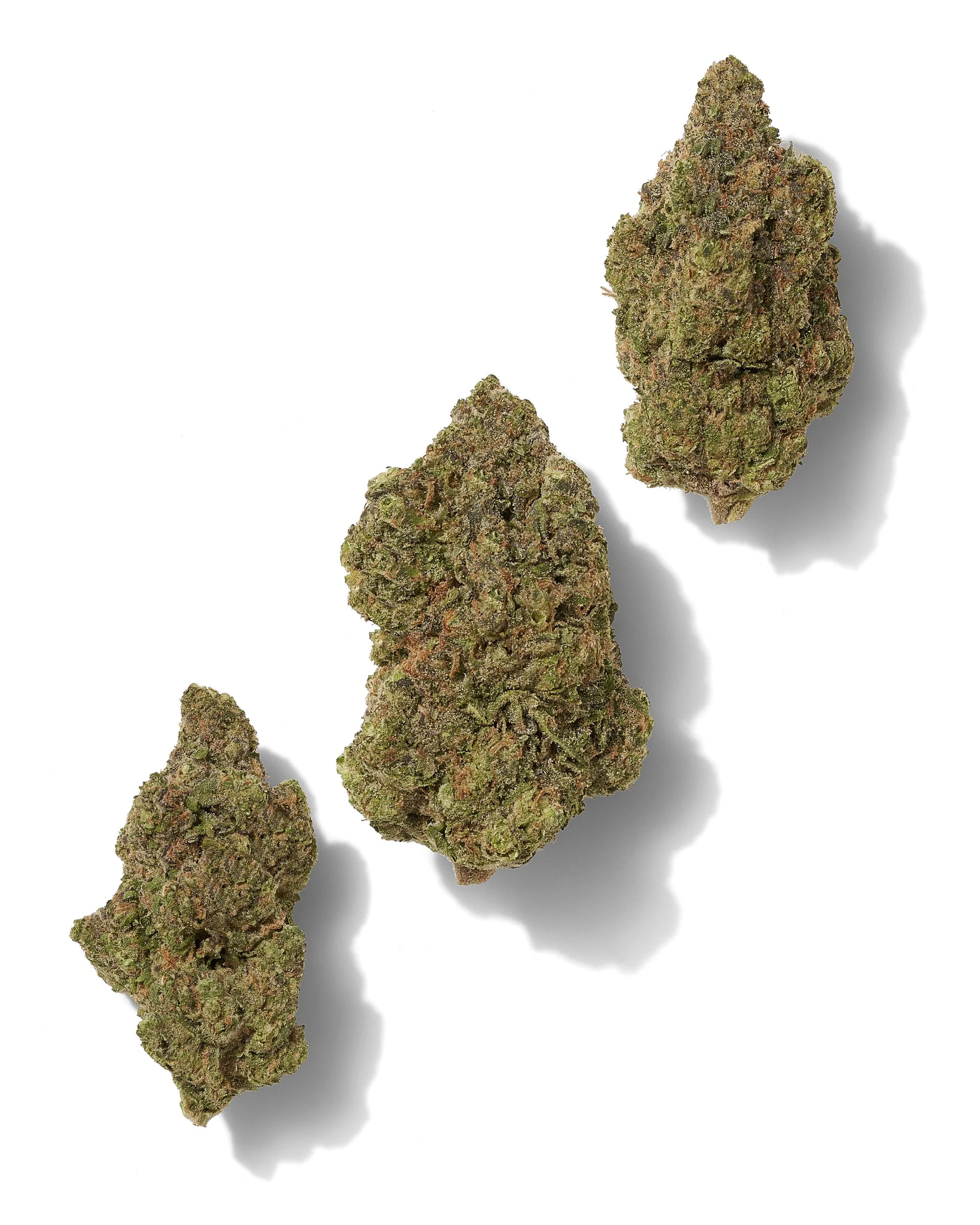 Black Tie - GMO – Three-bud composition on white.jpg