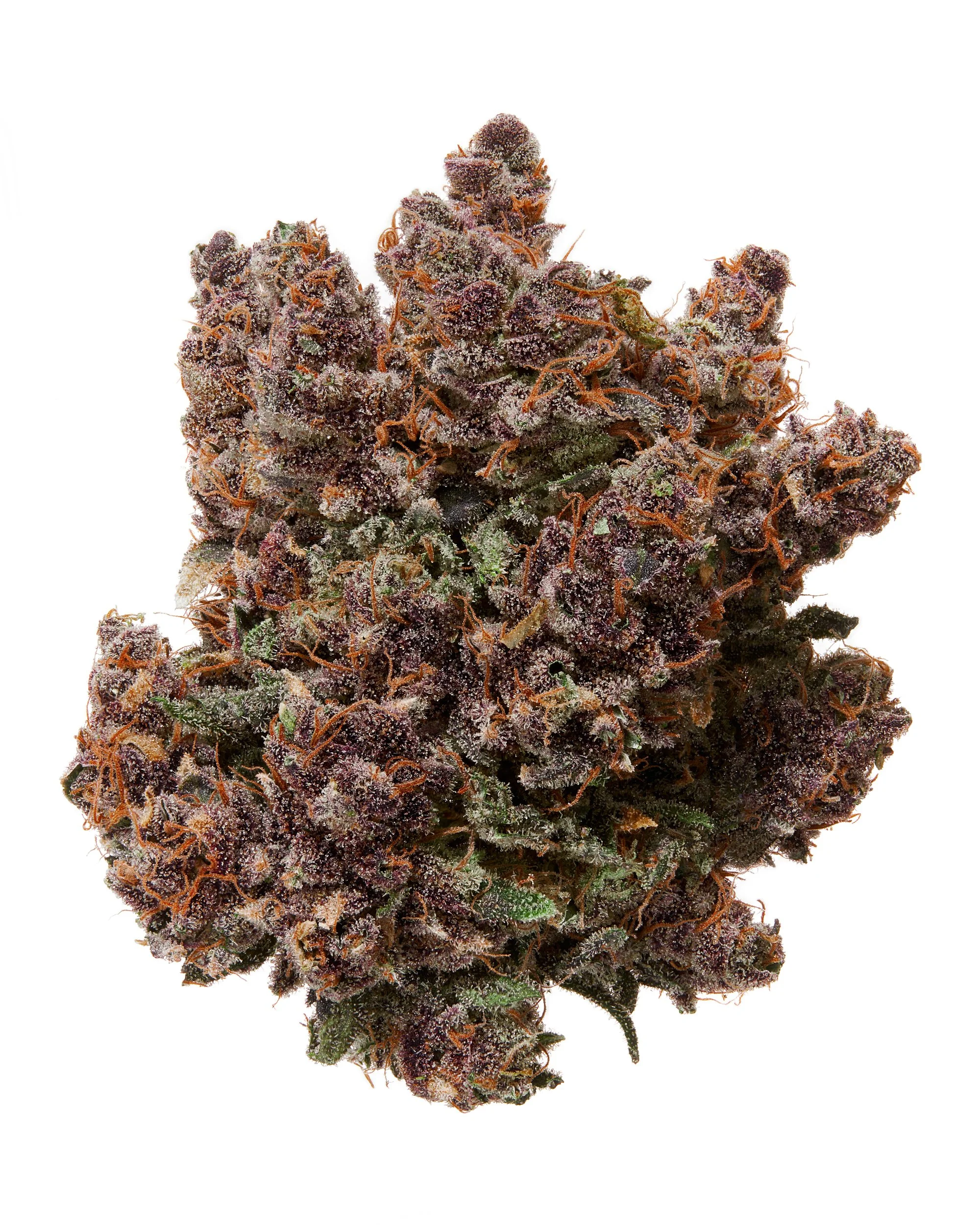 Hemp Hop - Abacus D, flower shot.jpg