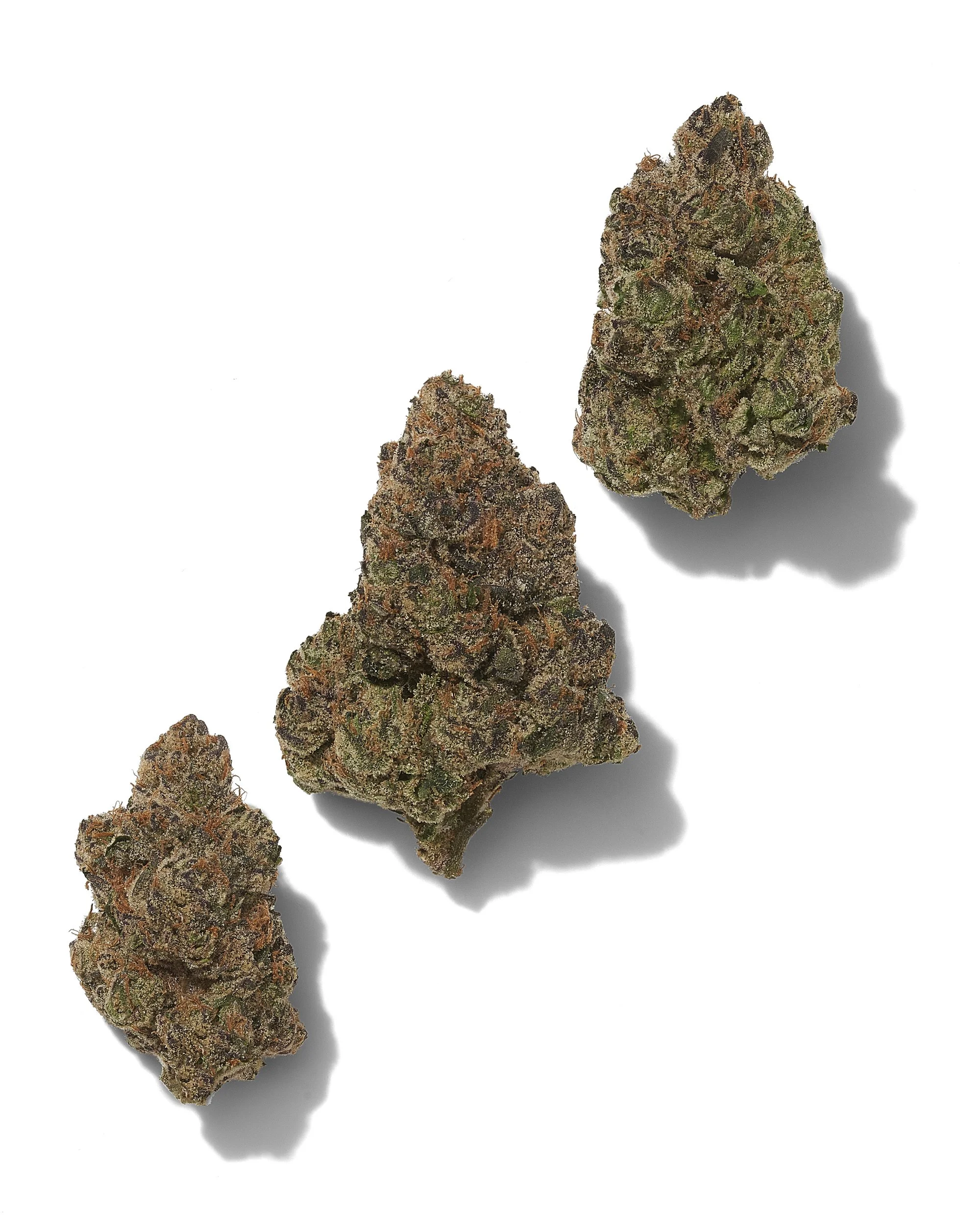 Black Tie – Pixie Sticks, 3-bud composition, clean premium background.jpg