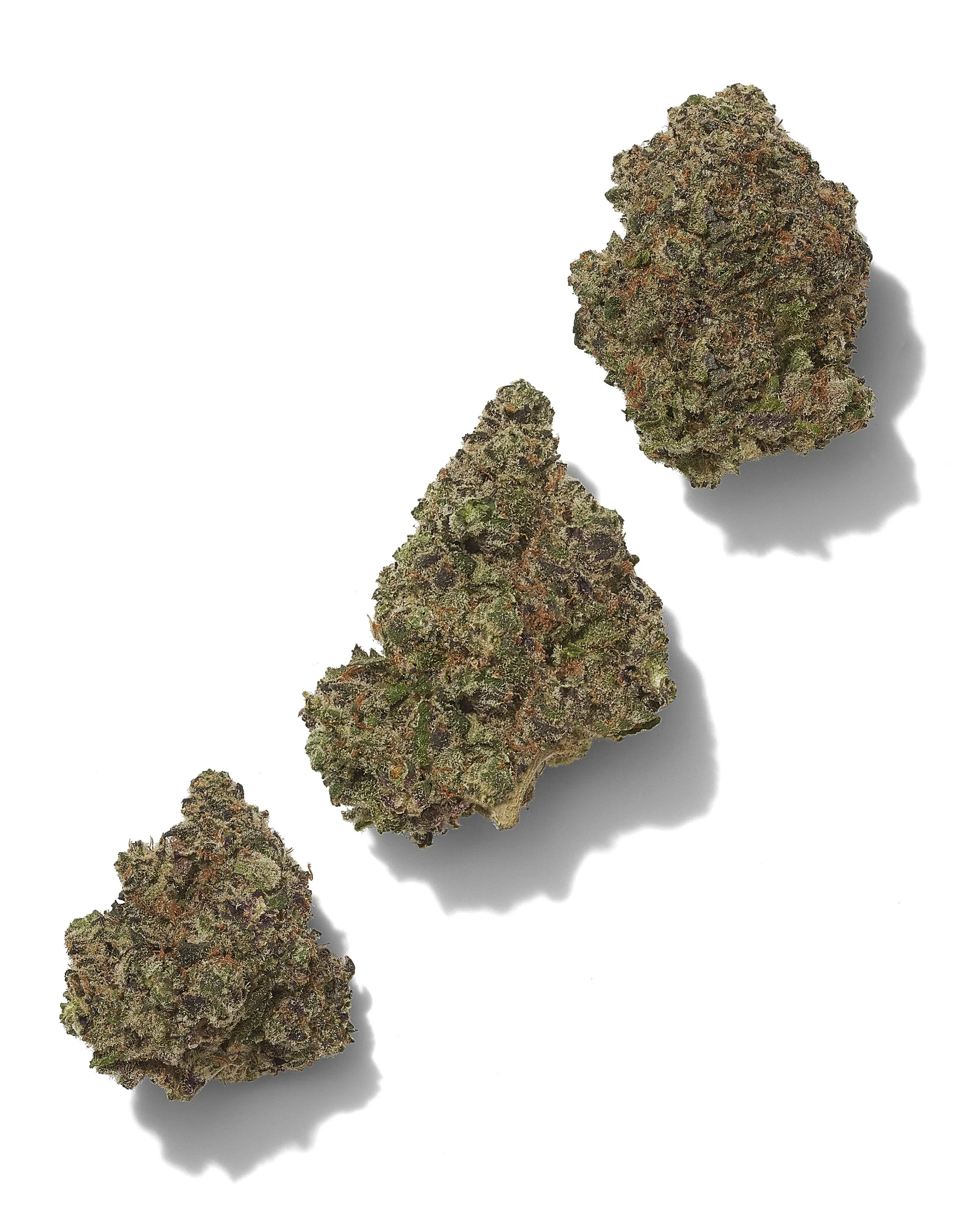 Black Tie – Grandaddy Purple, 3-bud composition, clean premium background.jpg