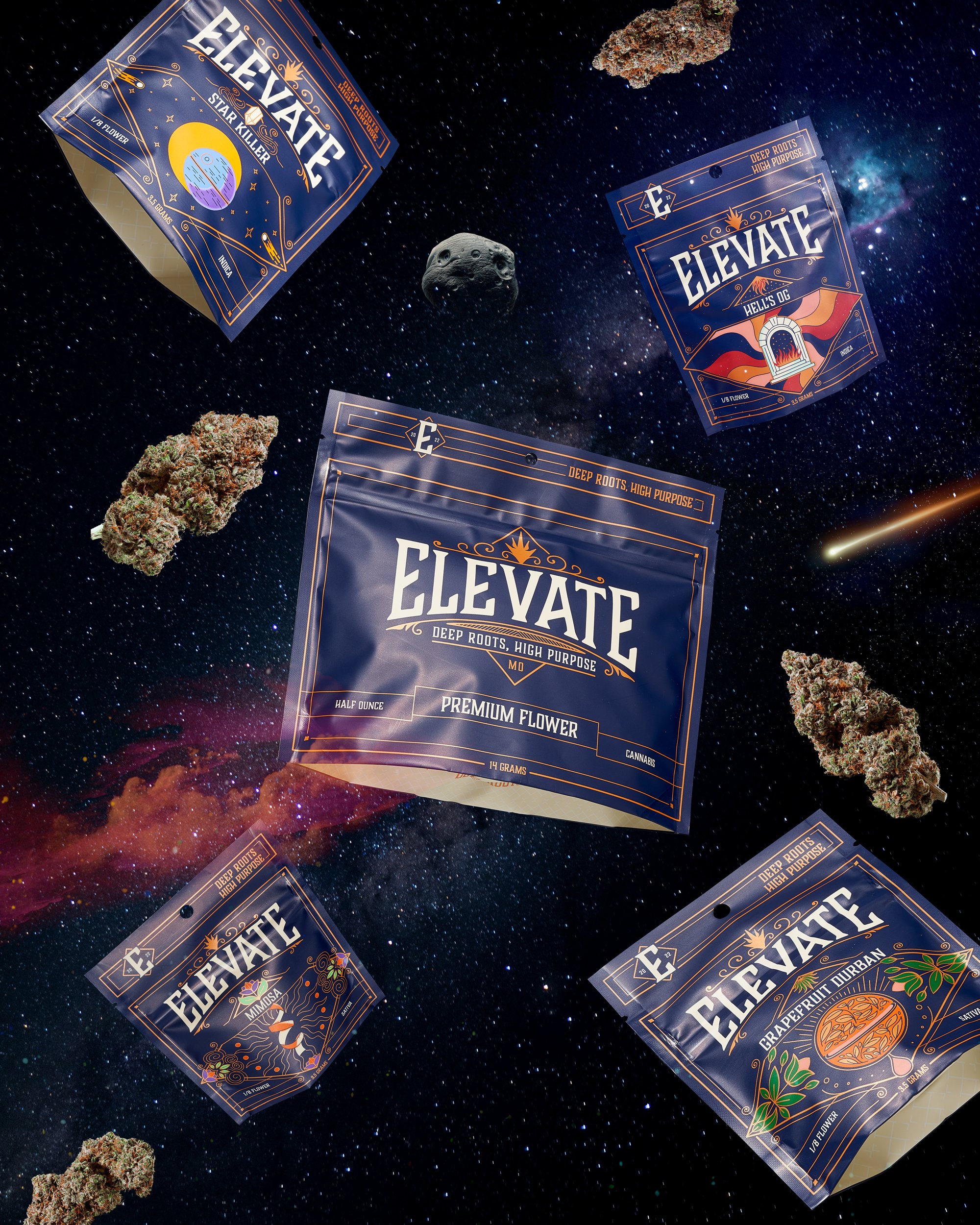 RXD Co - Elevate_.jpg