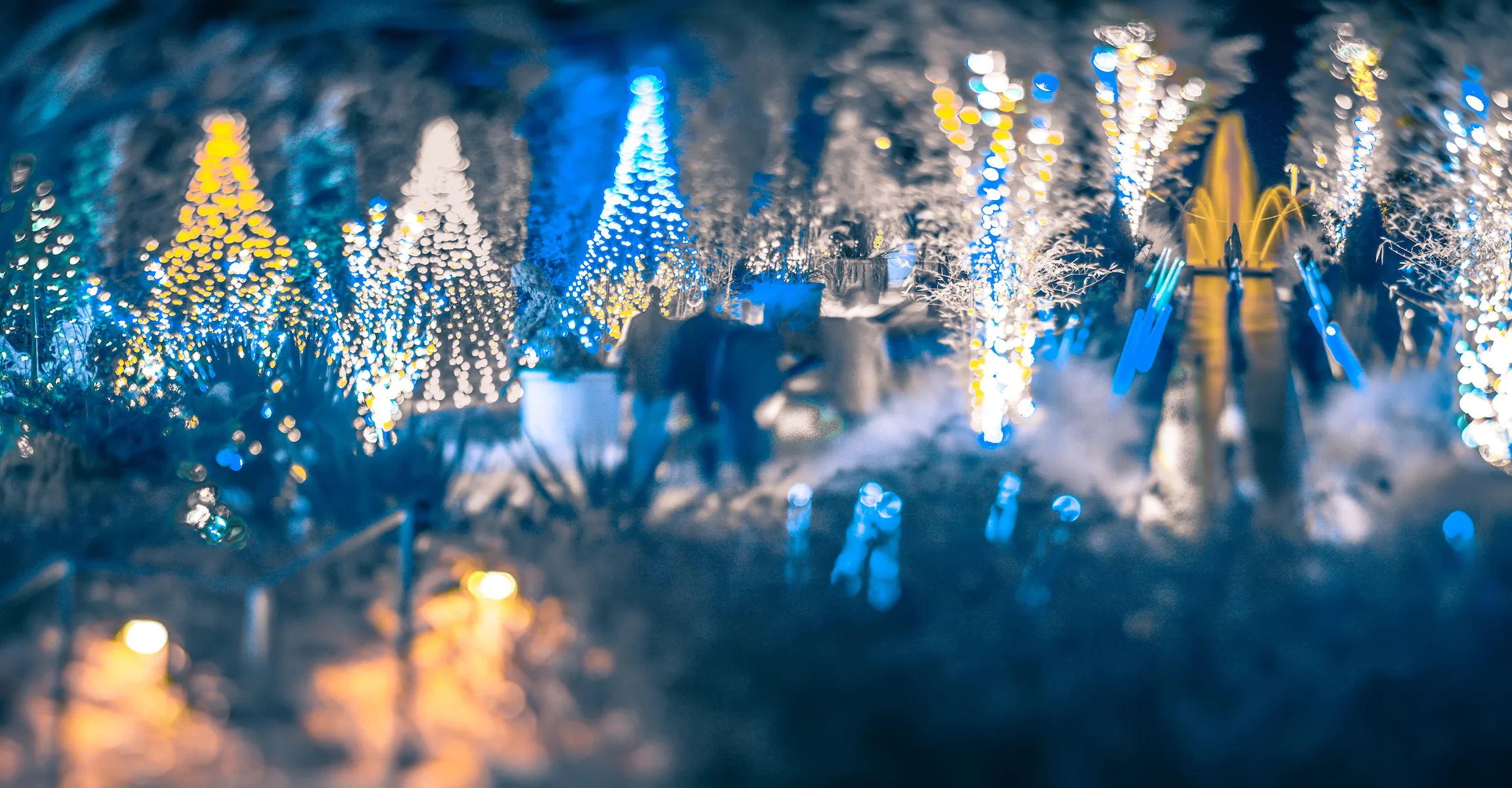 Closings In Union Sc For Christmas 2022 Holiday Closings — Carolina Cooperative Fcu