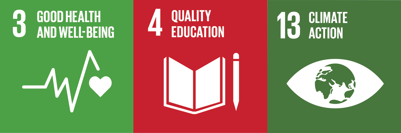 SDG good health.png