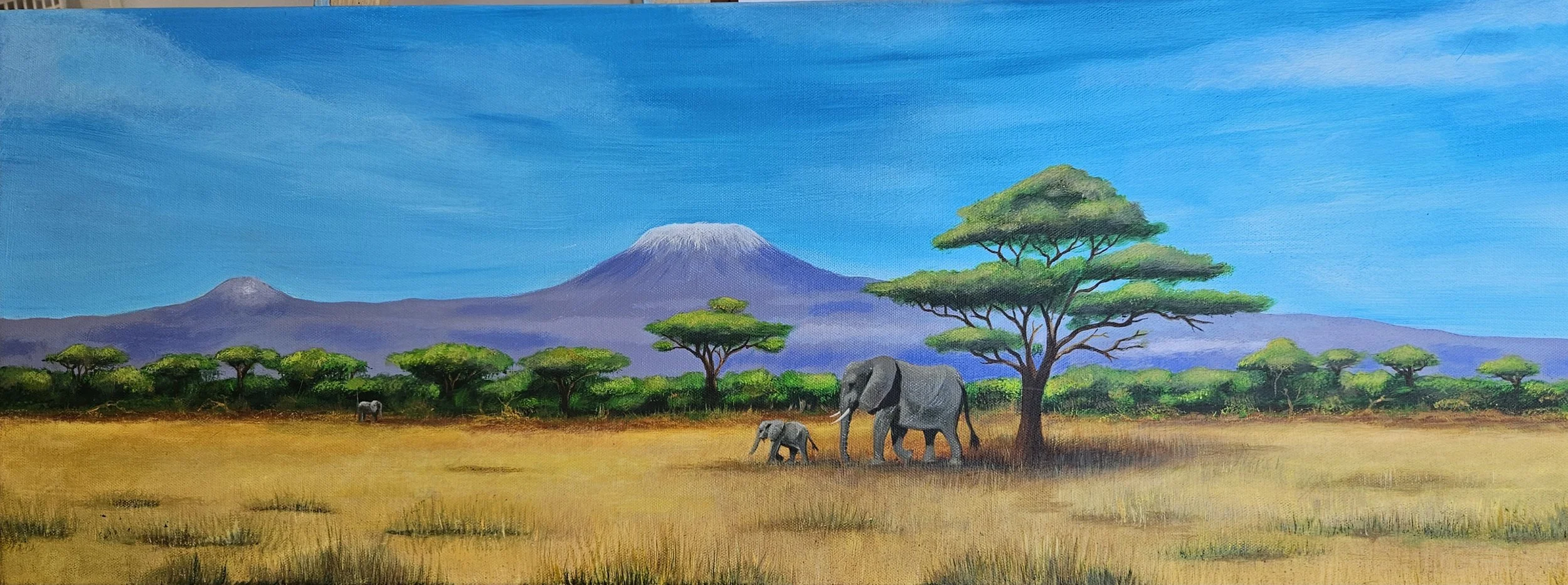 Elephants in Tanzania