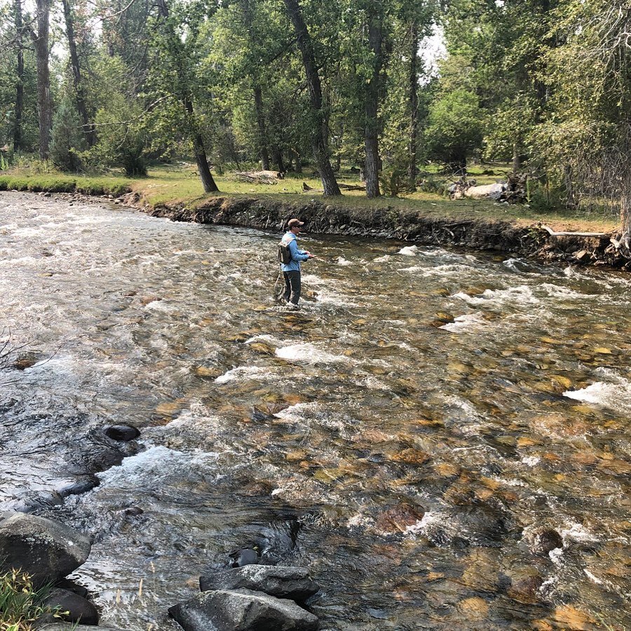 Had the opportunity to fly fish two rivers I had never fished before - Stillwater River and the East Rosebud. Both are beautiful rivers and well worth the trip.
.
.
.
#flyfishing #flyfishingmontana #flyfish #montana #montanamoment #stillwaterflyfishi
