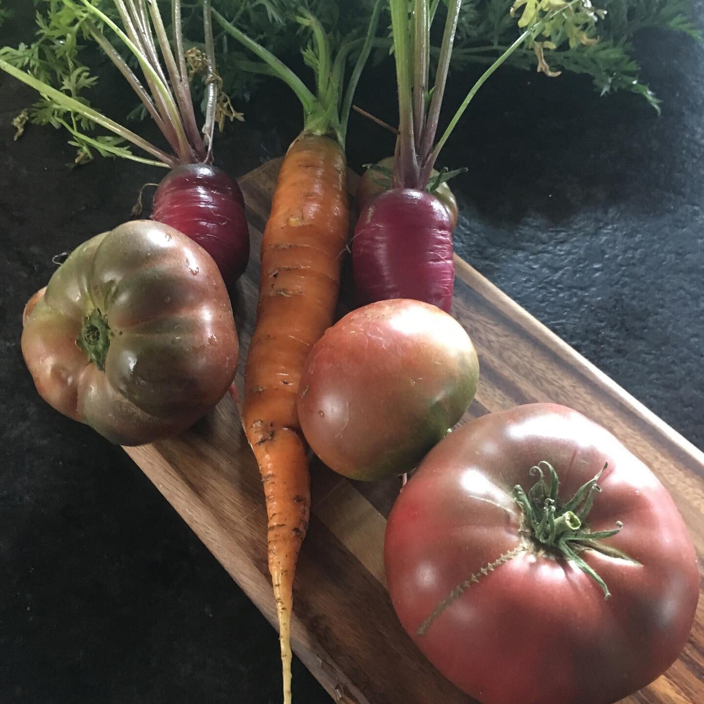 The vegetables of my labors 🥕 🍅 
.
.
.
#vegetables #organic #organicgardening #organicfood #organicfarming #farm #montana #montanalife #montanafarmlife #montanagardening #carrots🥕 #carrots #tomatoes #tomatoes🍅 #bzn #bozeman #bozemanmontana #bozem