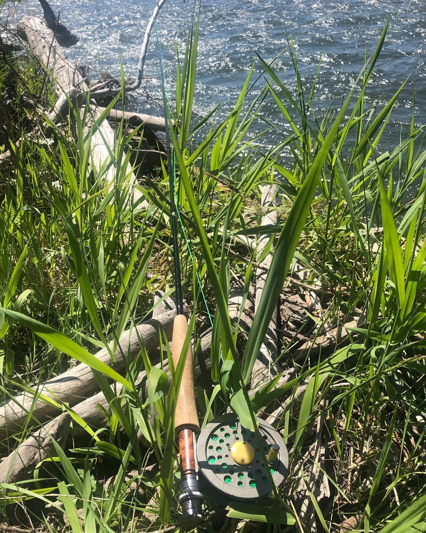 #Montana_River_Life
.
.
.
#gallatinriver #gallatin #river #flyfishing #flyfishinglife #flyfishingadventures #flyfish #trout #montana #montanamoment #bzn #bozeman #bozemanmontana #bozemanmt #406