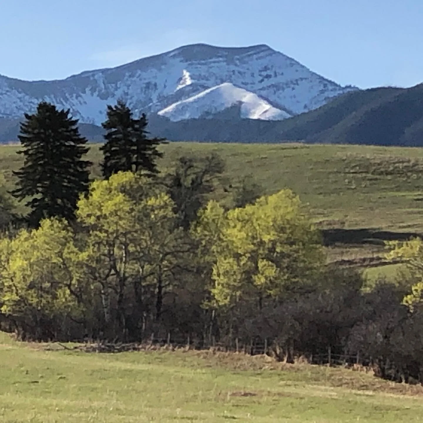 Spring has sprung!
.
.
.
.
#bzn #bozeman #bozemanmontana #bozemanmt #montana #spring #springtime #spring2020 #springishere #saddlepeak #montanamoment #montanalife