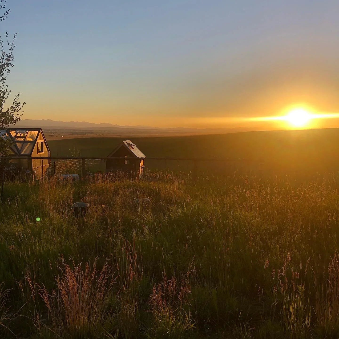 Montana Farm Life 
.
.
.
#chickencoop #greenhouse #sunset #montana #valley #mountainvalley #summertime #summervibes #summer2020 #farm #ranch #land #montanamoment #bozeman #bozemanmontana #bozemanmt #406
