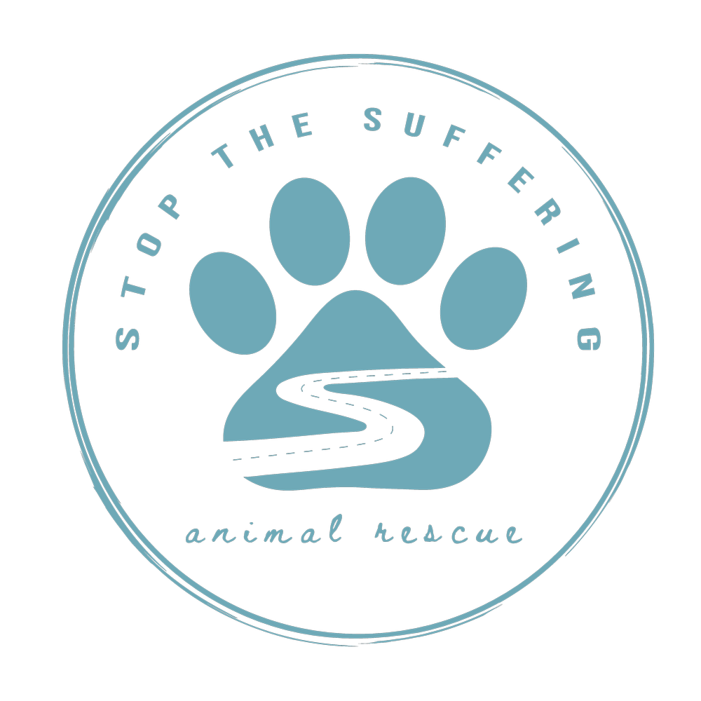 STS+Teal+Encircled+Logo+PNG-01.png