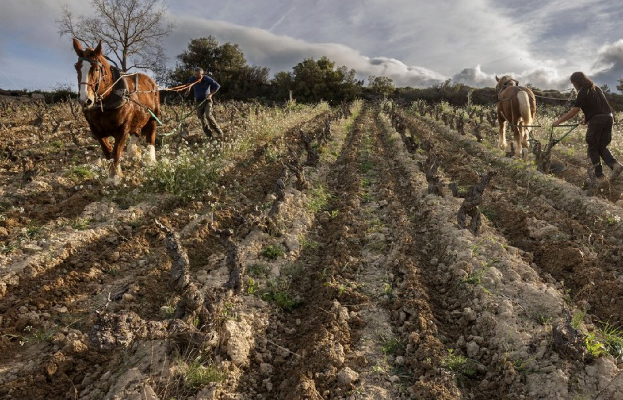 Screenshot 2026-04-20 at 12.00.27 PM.png