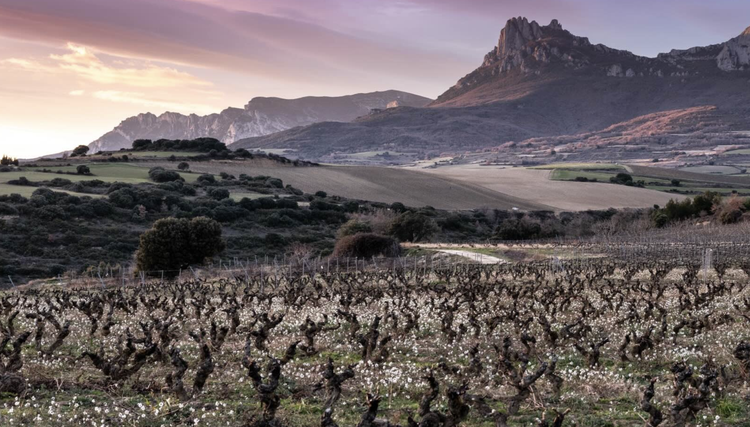 Screenshot 2026-04-20 at 12.00.49 PM.png