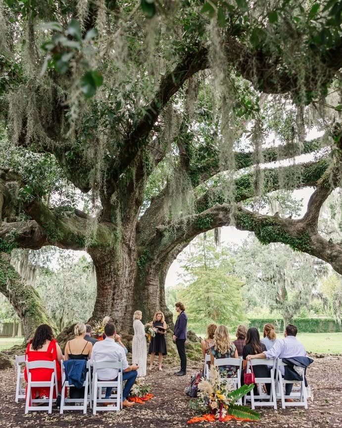 Tree of Life Audubon Park