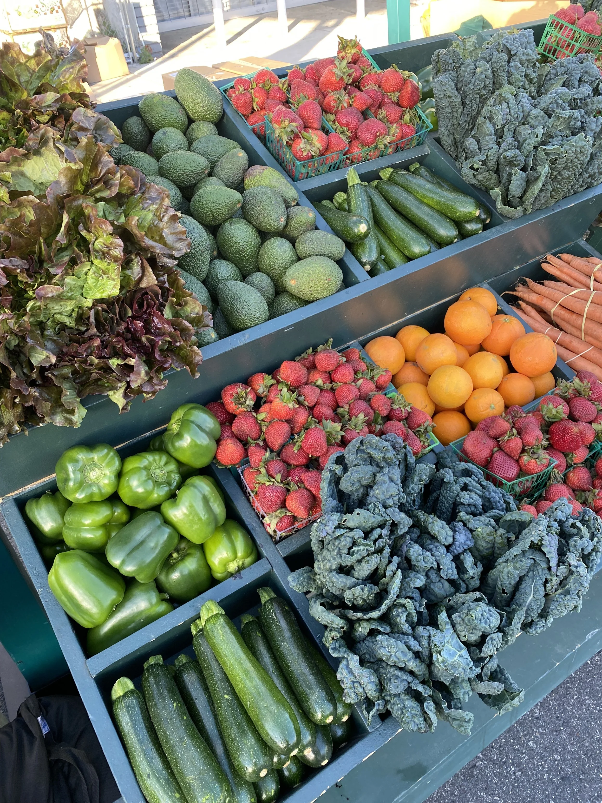 Copy of IMG_2744 3.jpeg