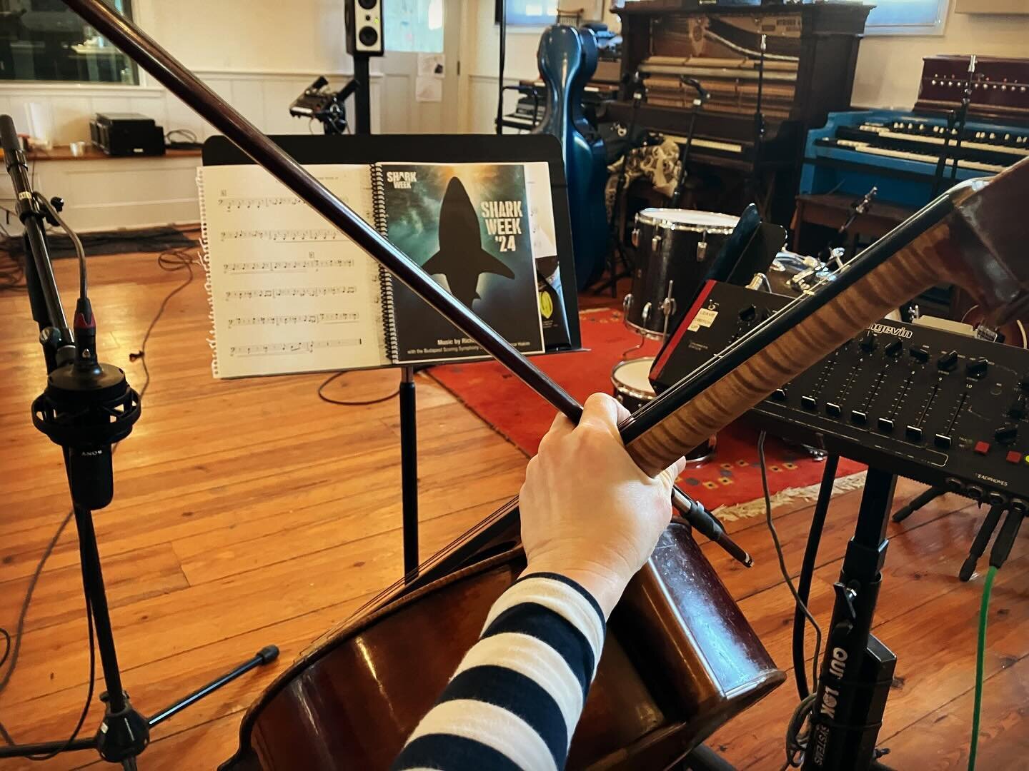 When you know it&rsquo;s a good take because the producer exclaims gleefully, &ldquo;My GOD that sounds horrible!&rdquo; He also asked me to re-rosin 3 times for maximum ugly sound&hellip;. Watch out! #sharkweek  #tvmusic #cello #sessioncellist #shar