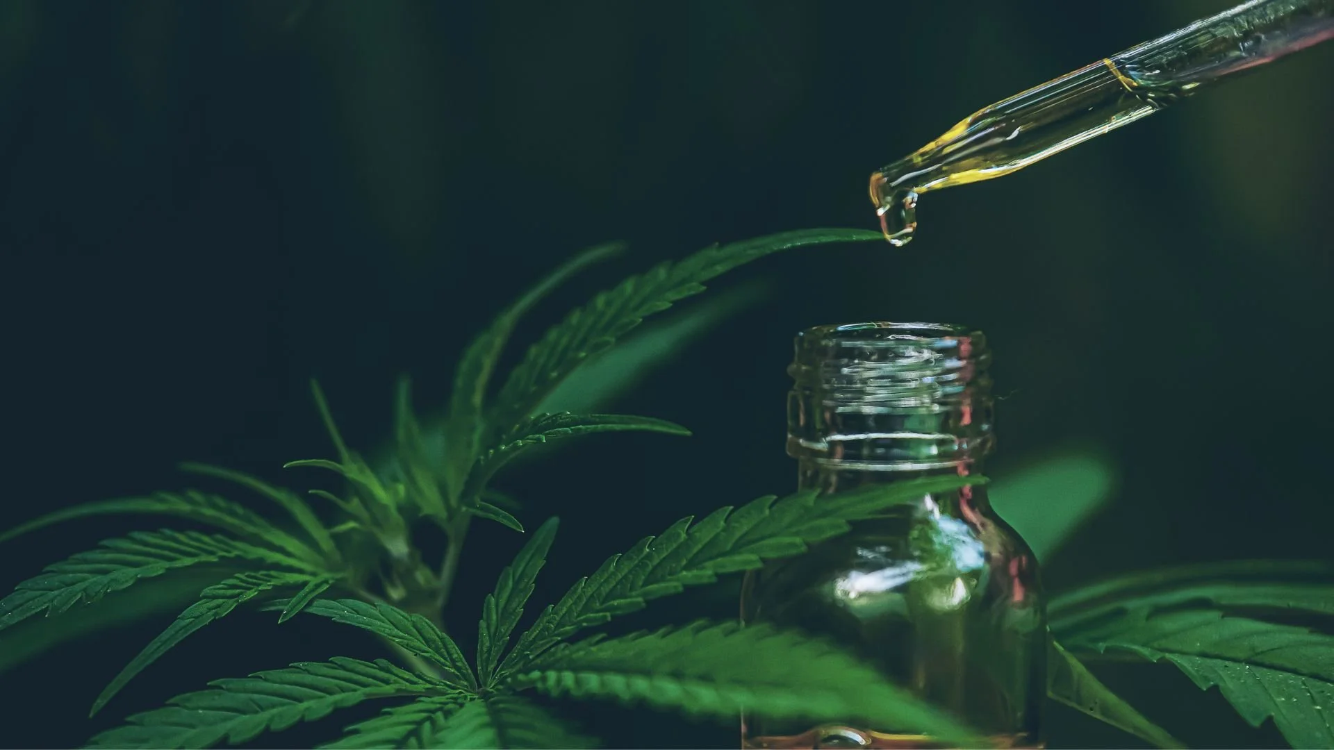 What to expect with a CBD massage